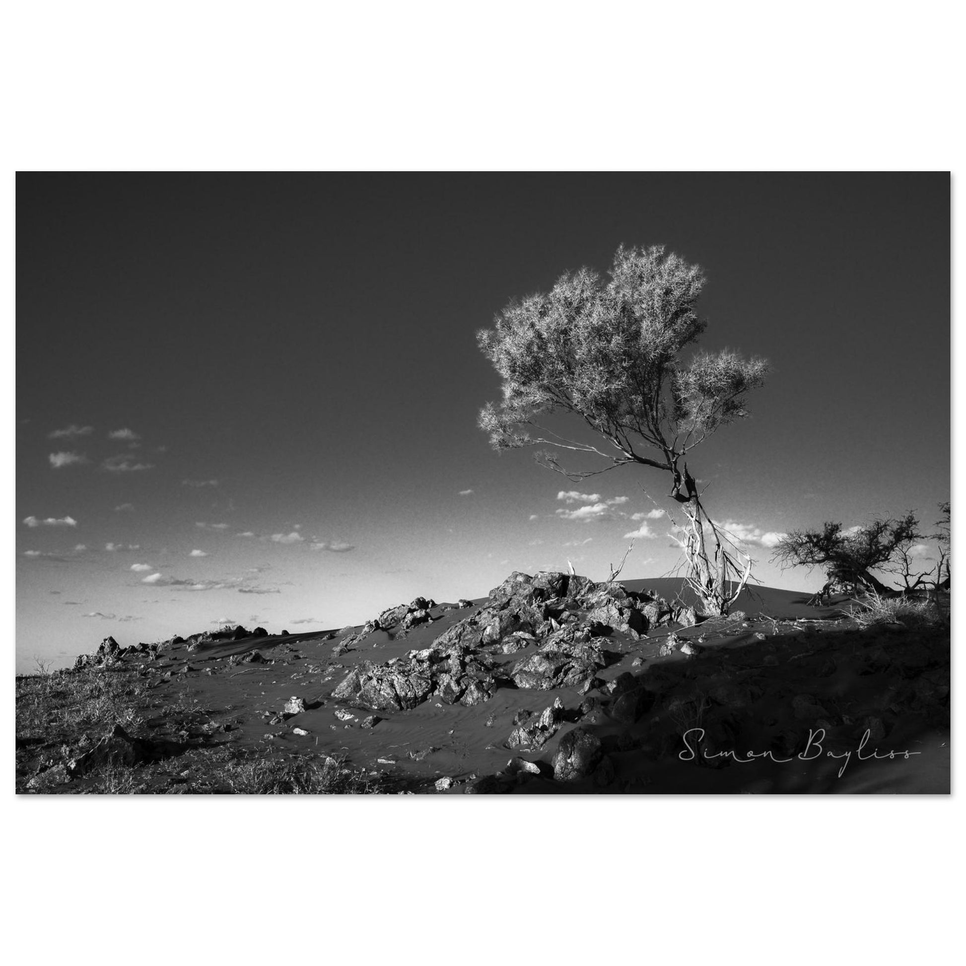 48feb579-2af8-4fb3-b555-939180fd8d69