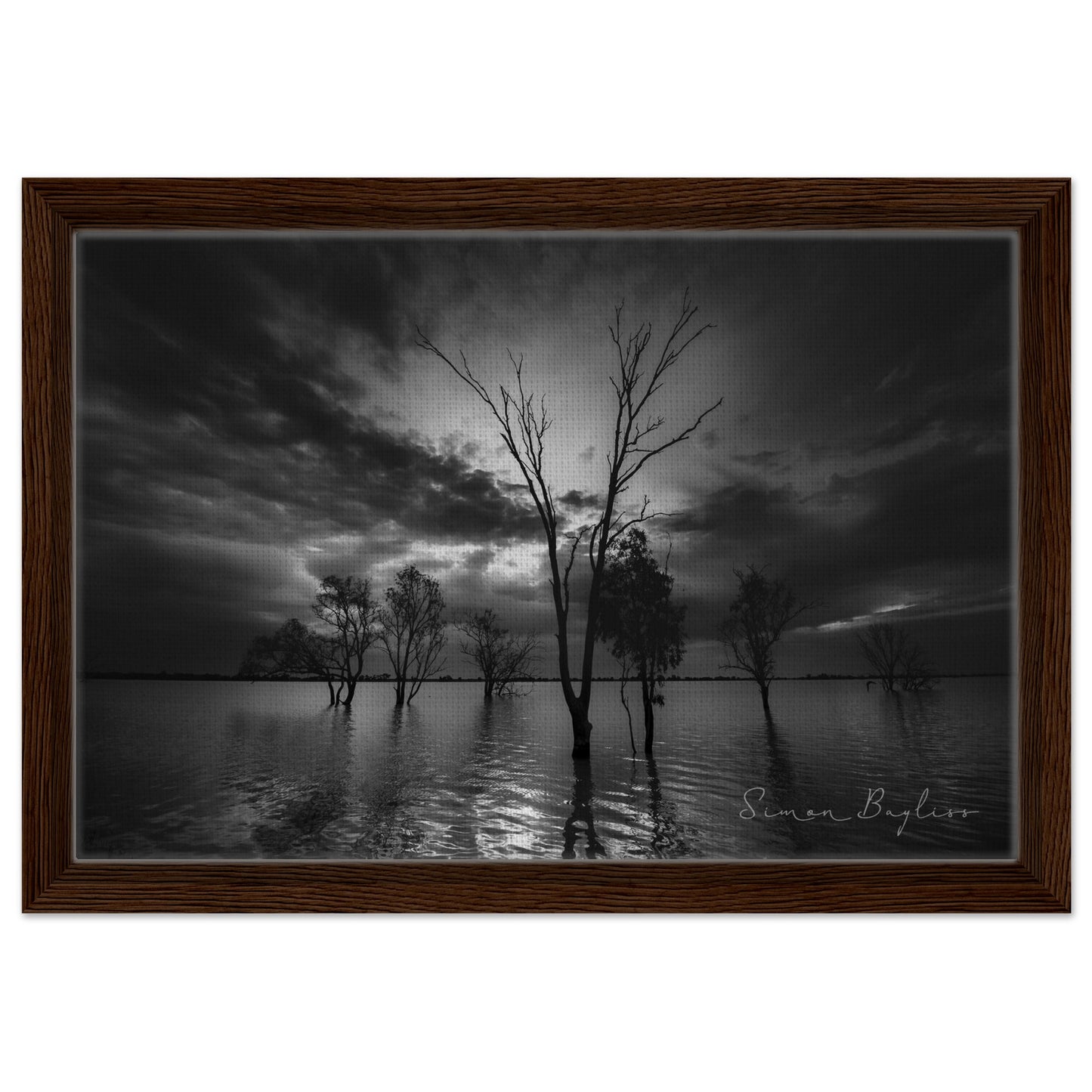 4909bb78-505b-480a-b2e1-acd358487843