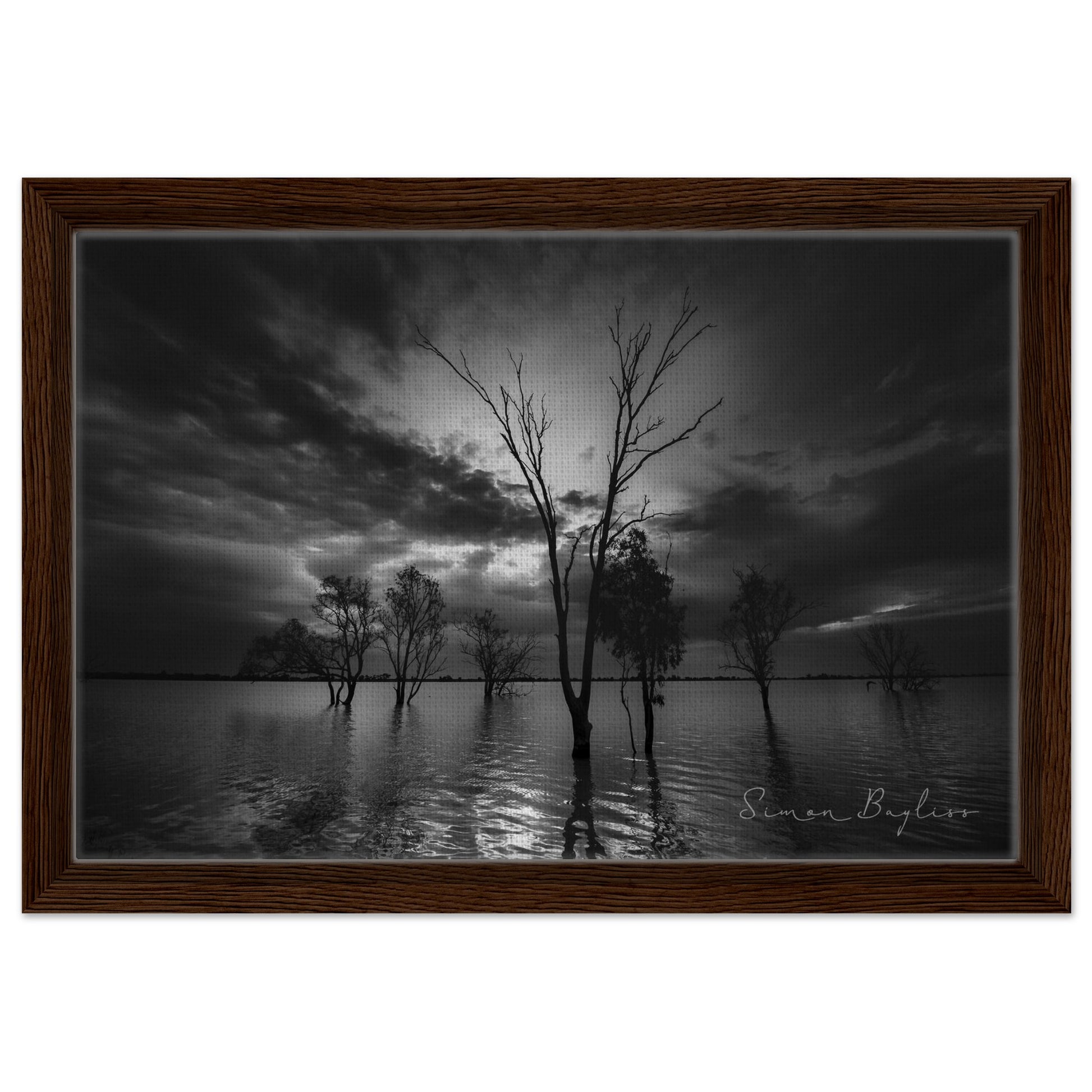 4909bb78-505b-480a-b2e1-acd358487843