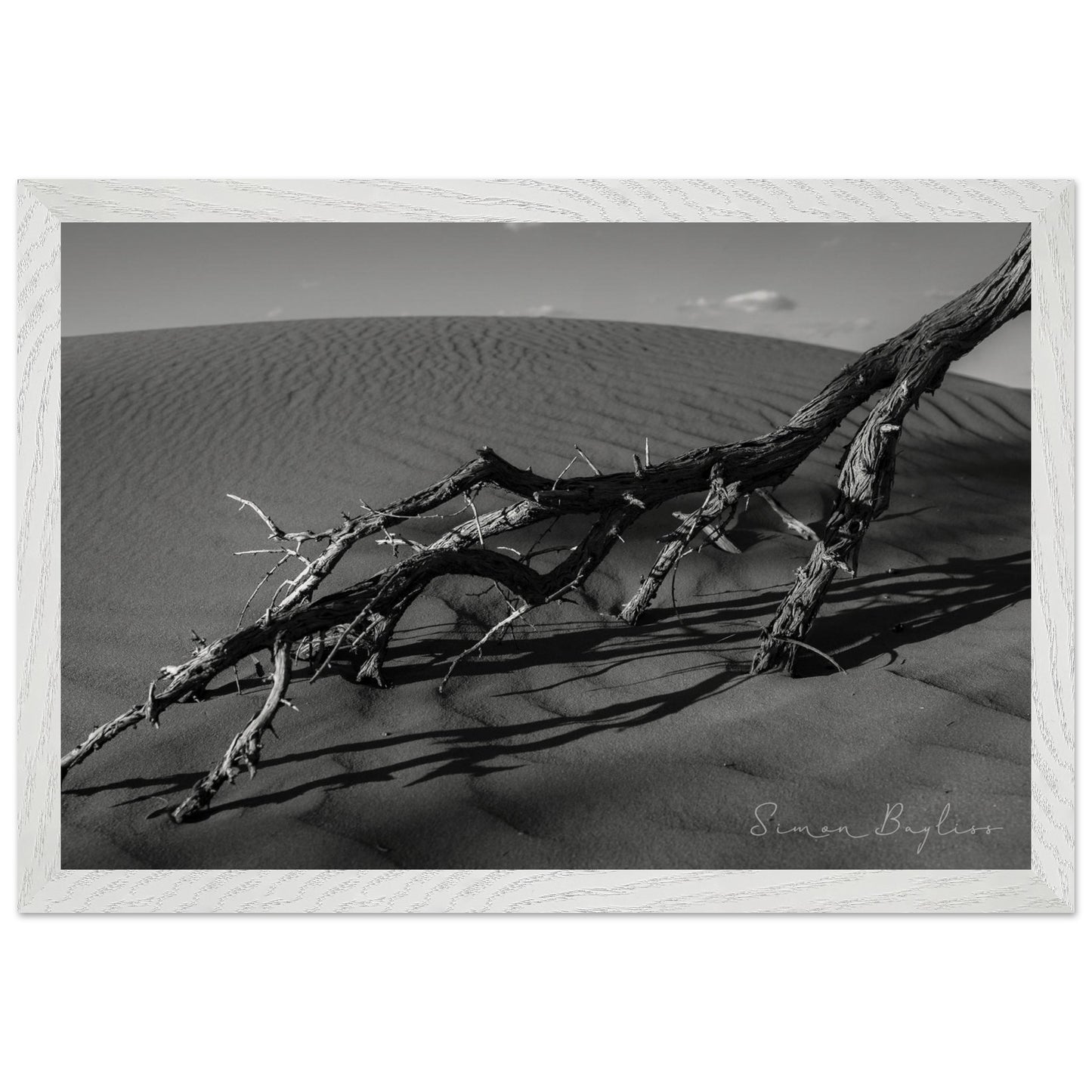 4991bbf5-688f-4dc5-bd16-98513a580c2d