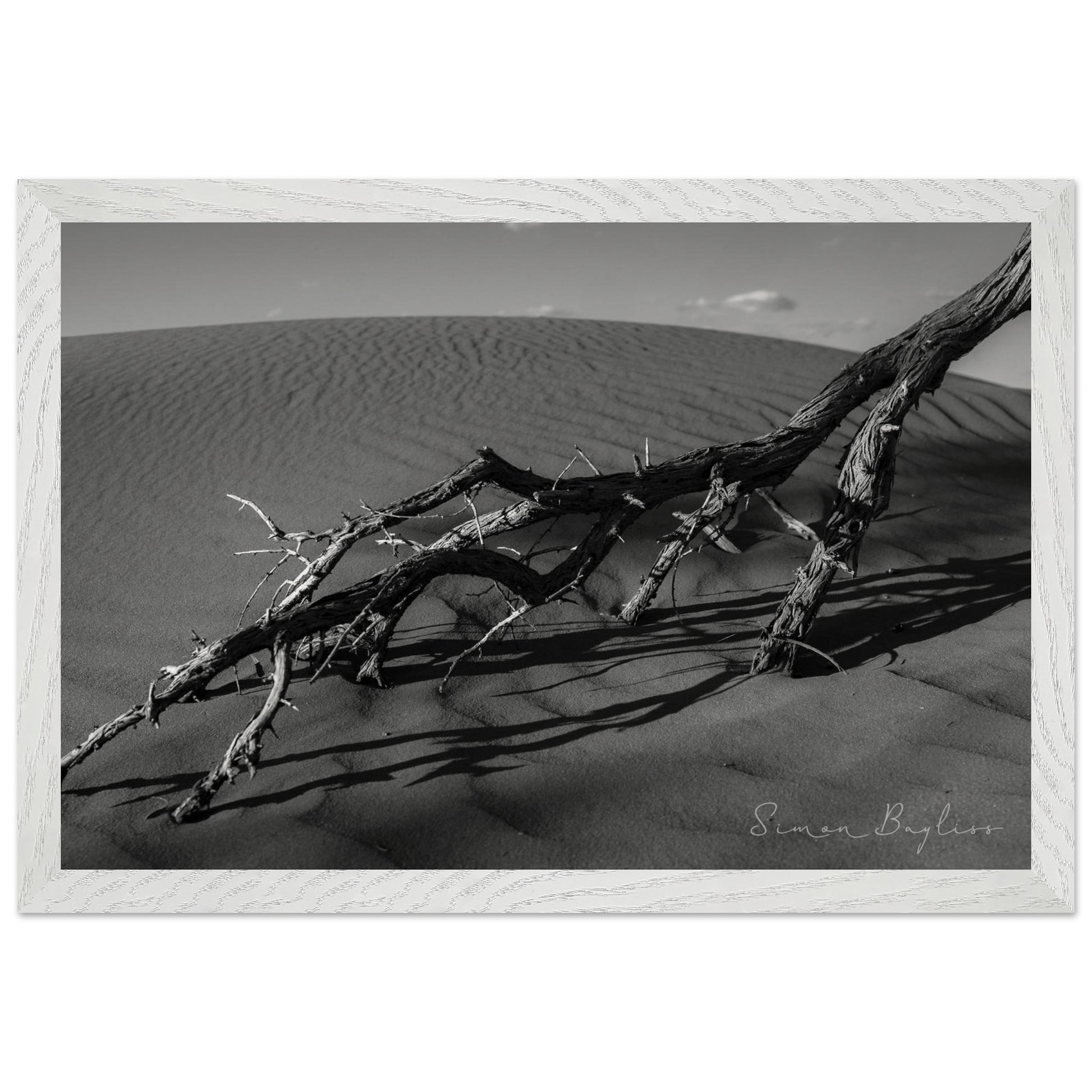 4991bbf5-688f-4dc5-bd16-98513a580c2d