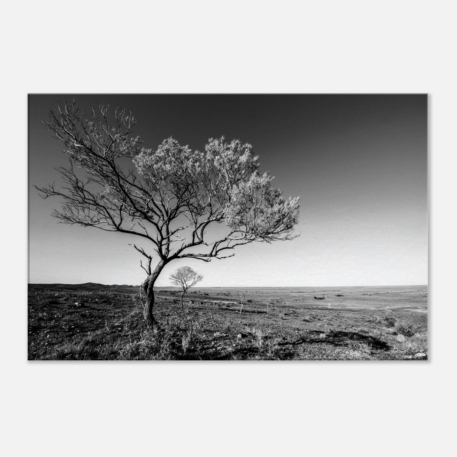 49dc56f1-41b9-4f7c-a8e9-7b802e9f6ab5