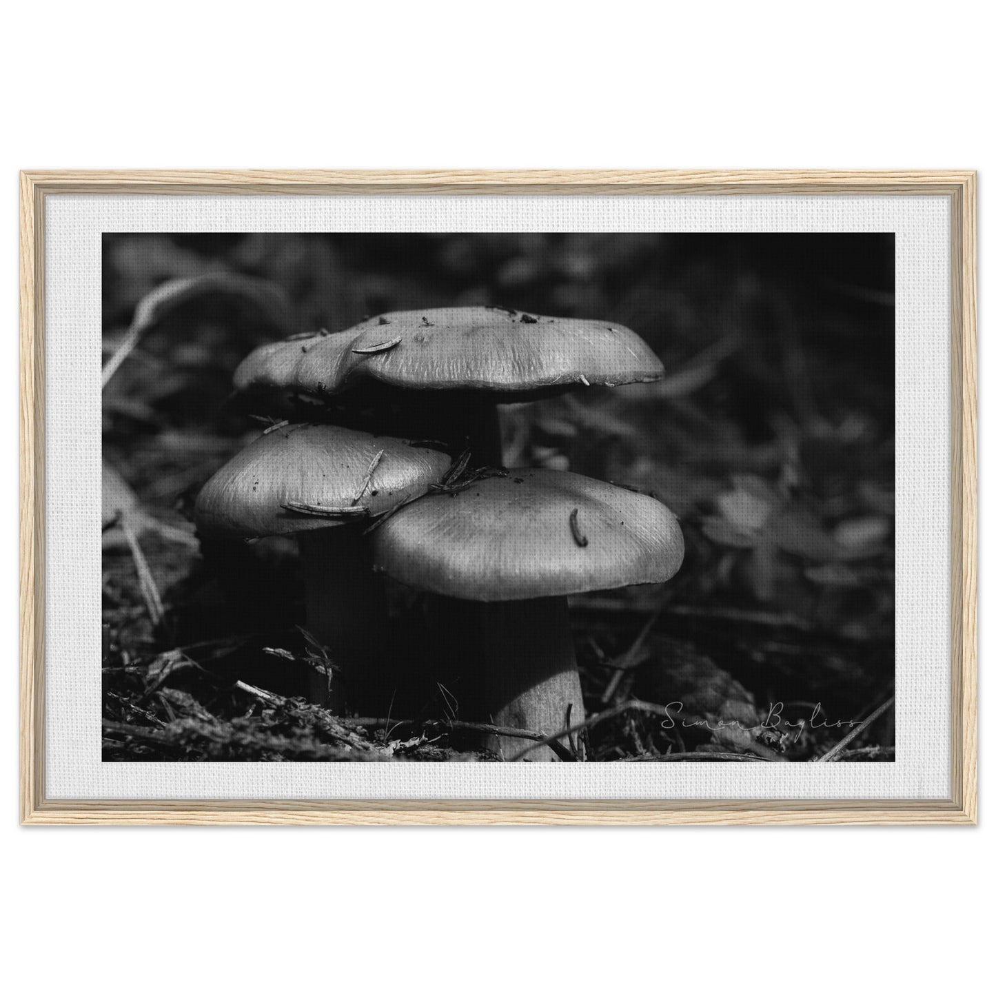 49dec77a-fd6c-45e6-8f22-651d2ee5601b