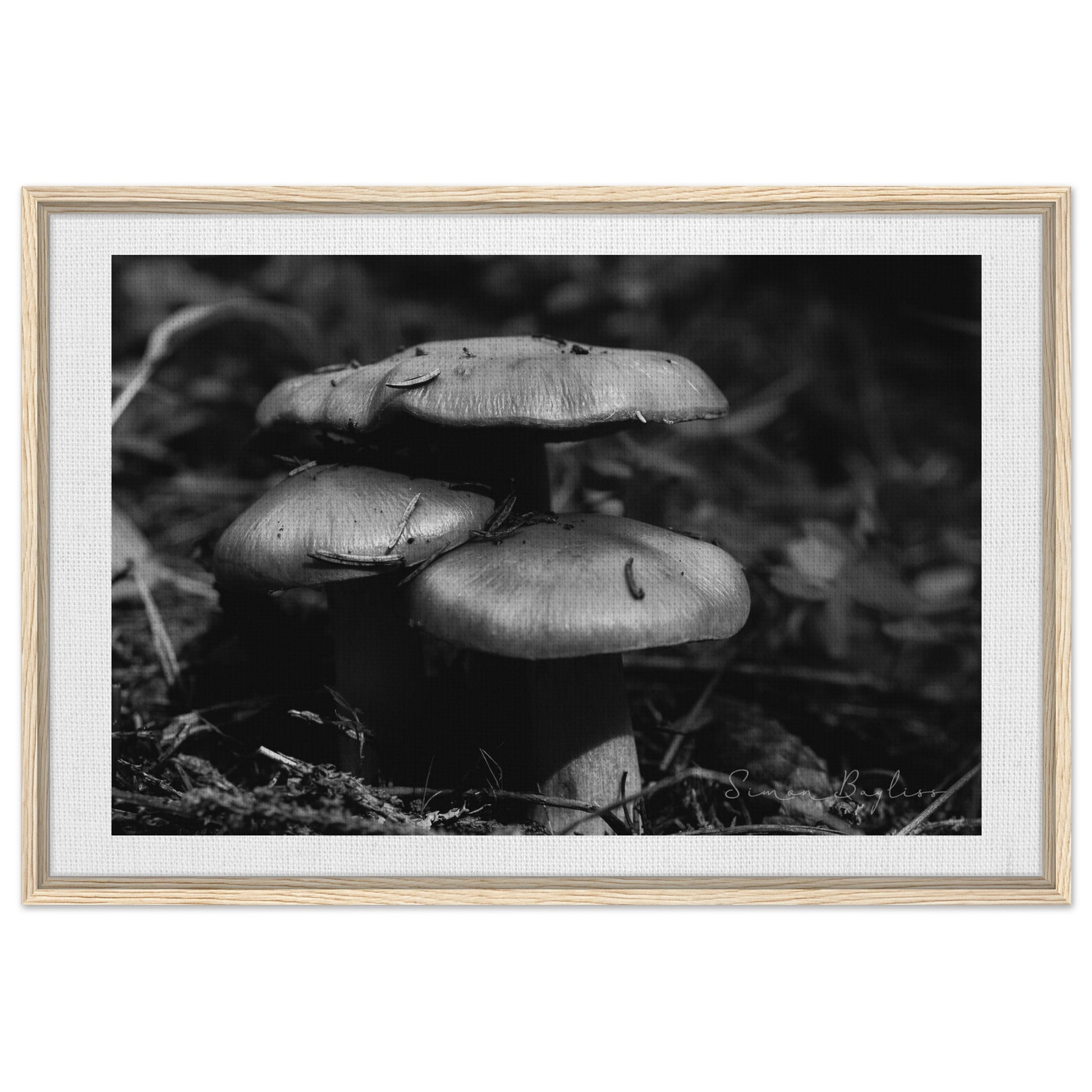 49dec77a-fd6c-45e6-8f22-651d2ee5601b