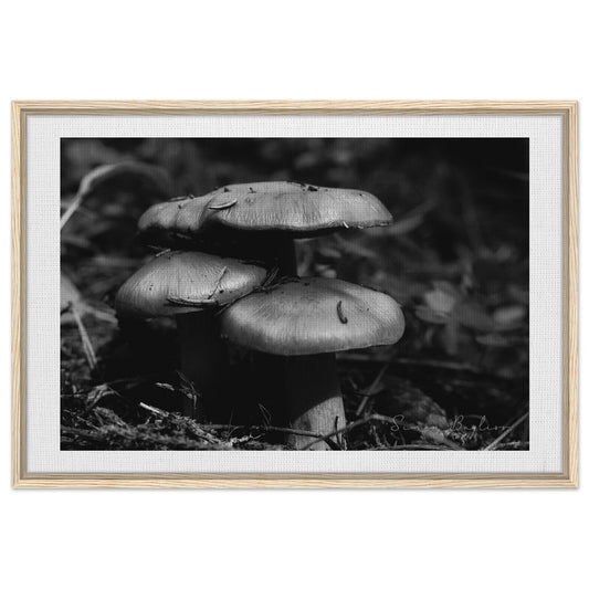 49dec77a-fd6c-45e6-8f22-651d2ee5601b