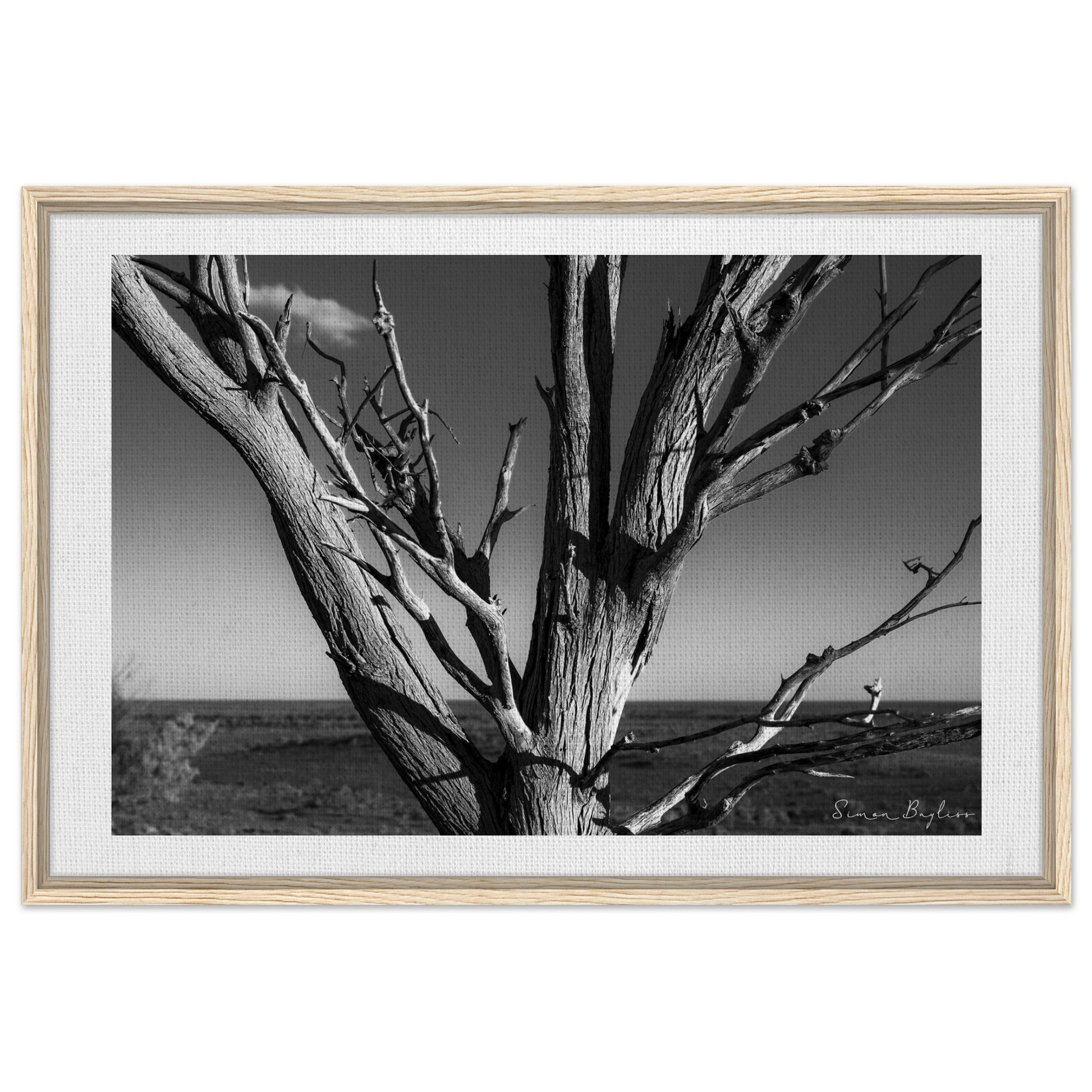 49ef57c3-6055-46fe-98d6-74af29d62ef0