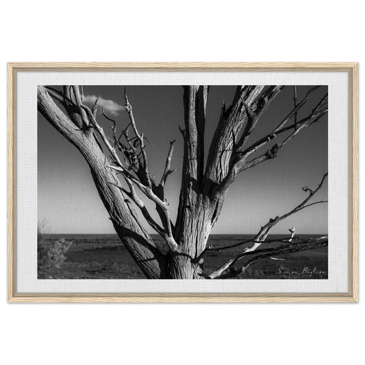 49ef57c3-6055-46fe-98d6-74af29d62ef0