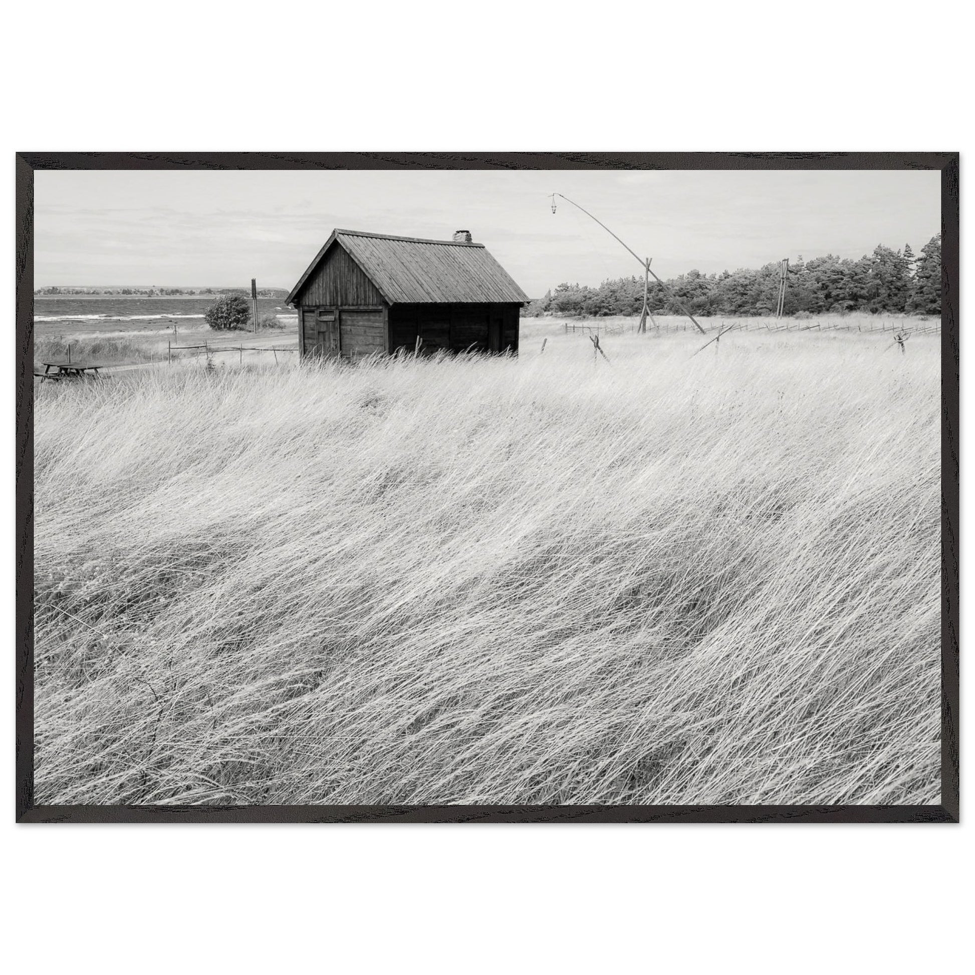 4a75b639-7323-40f6-ba14-281baaf014a7