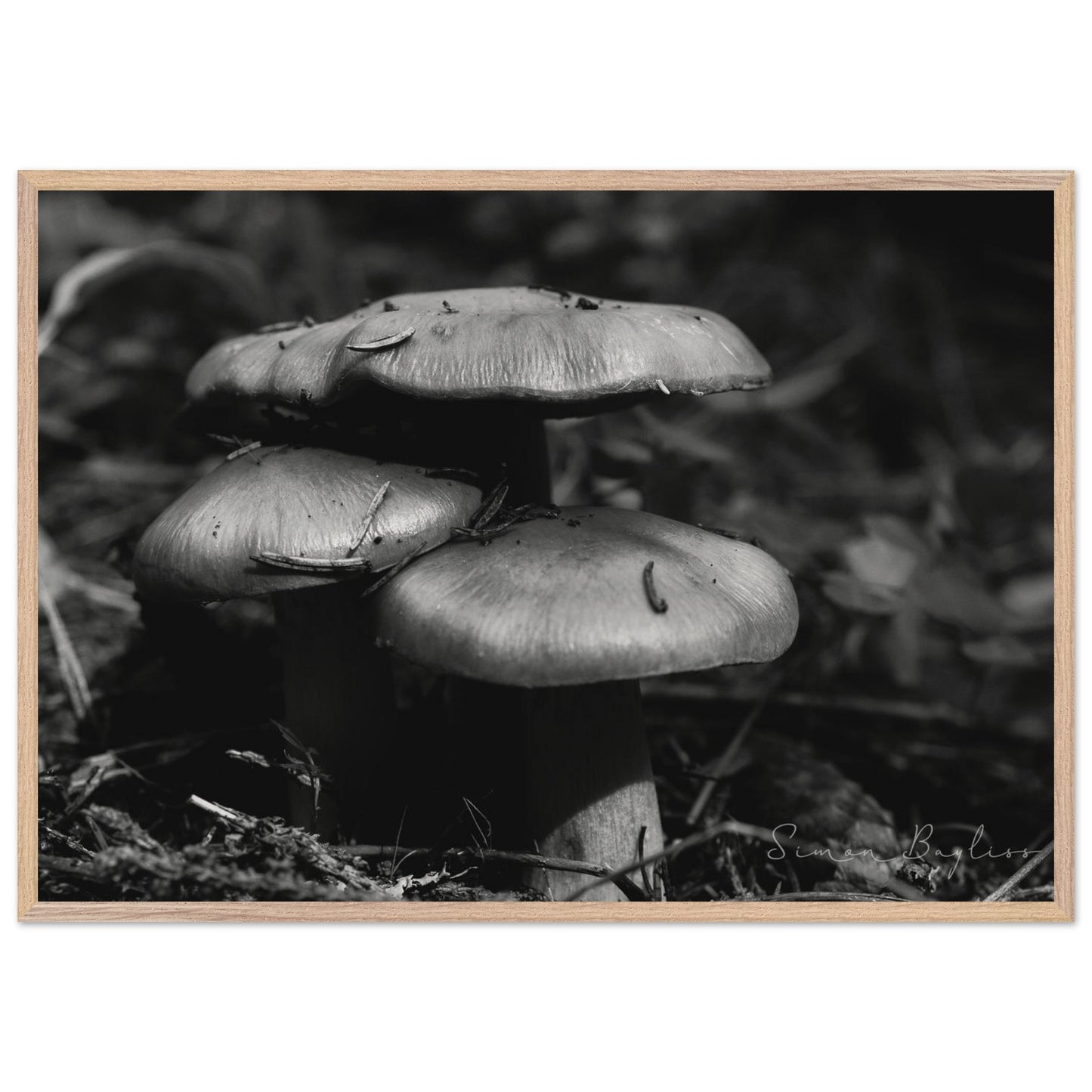 4a7e7855-5985-48af-a860-1bec3cea4aee