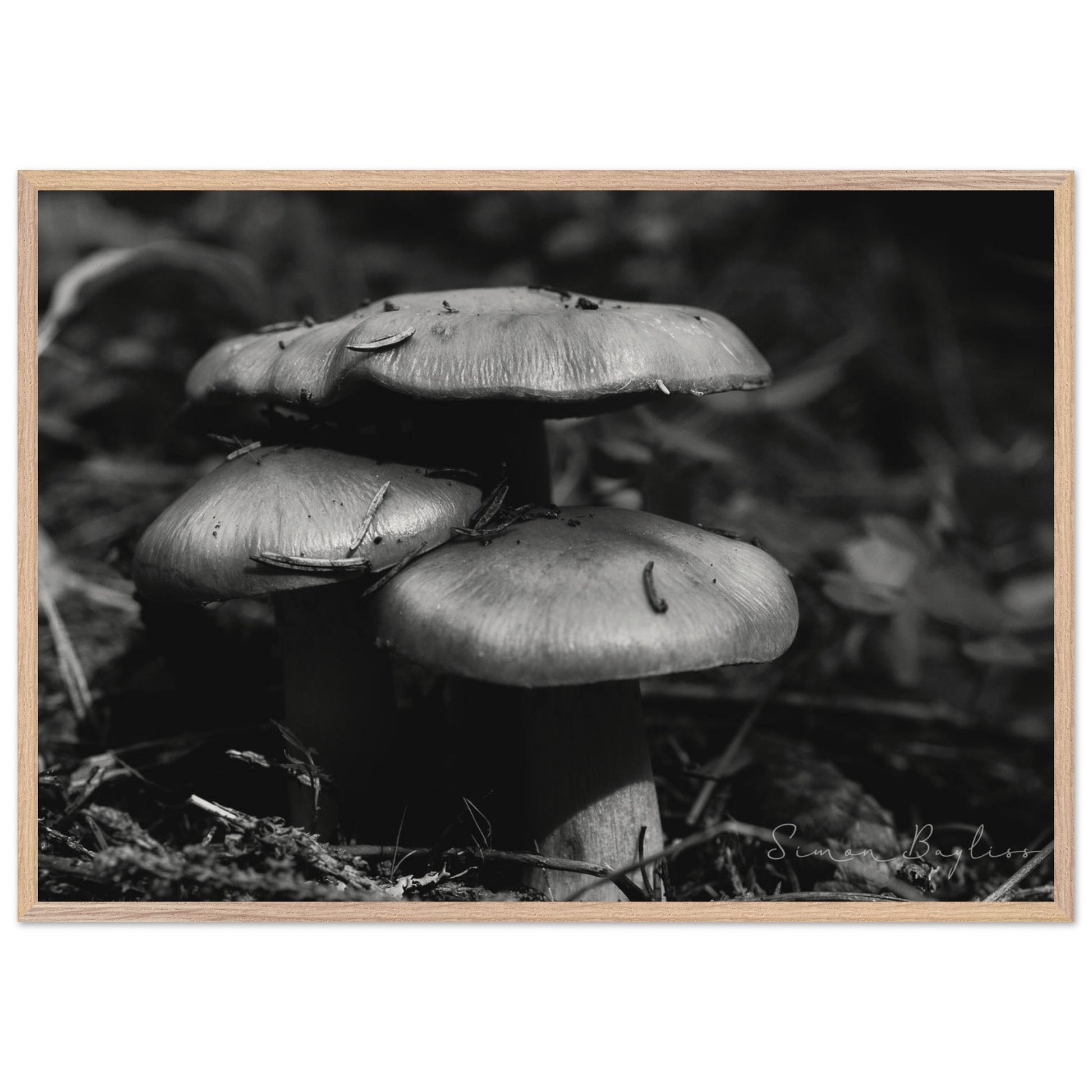 4a7e7855-5985-48af-a860-1bec3cea4aee