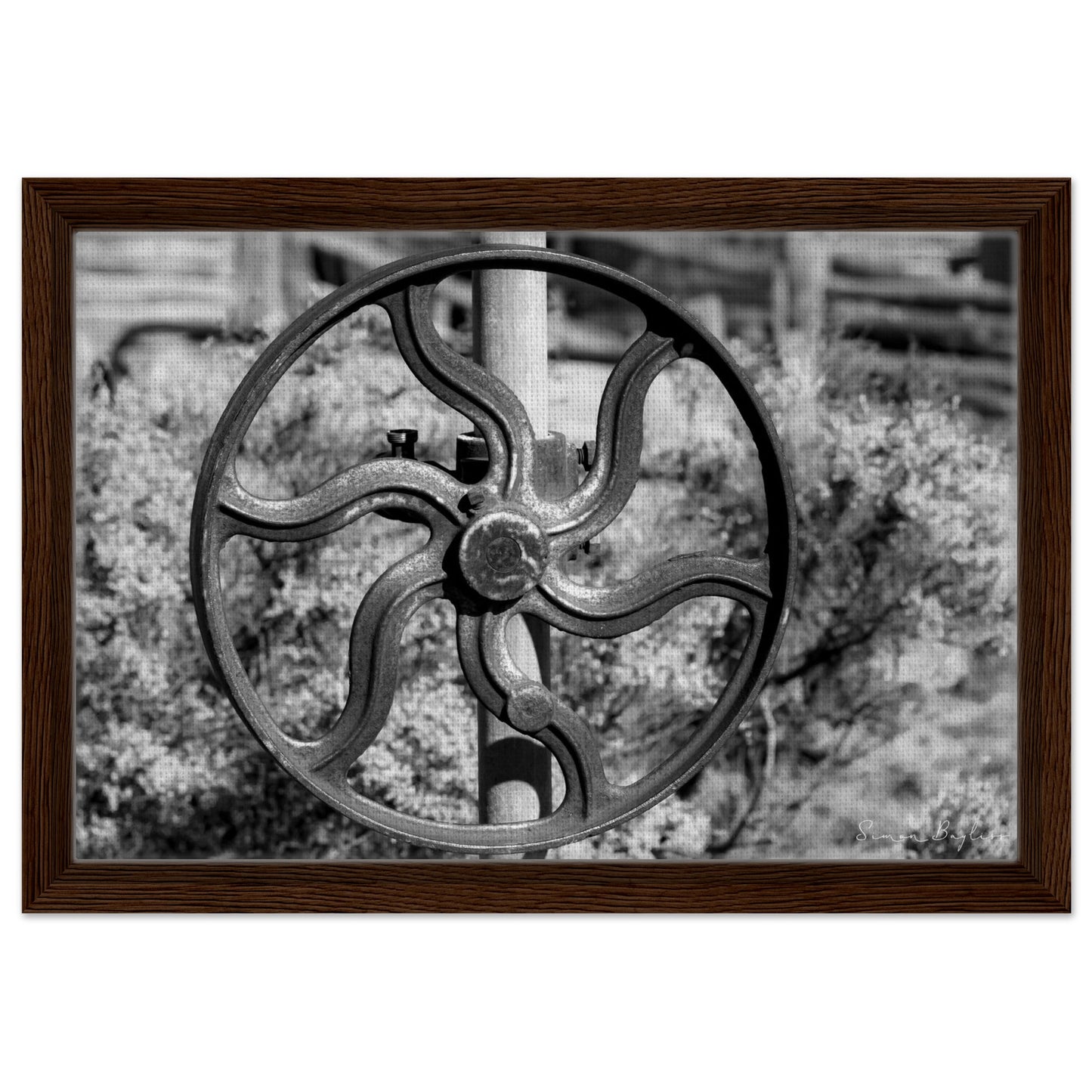 4a887829-c394-4caa-8c34-c46efefed8cd