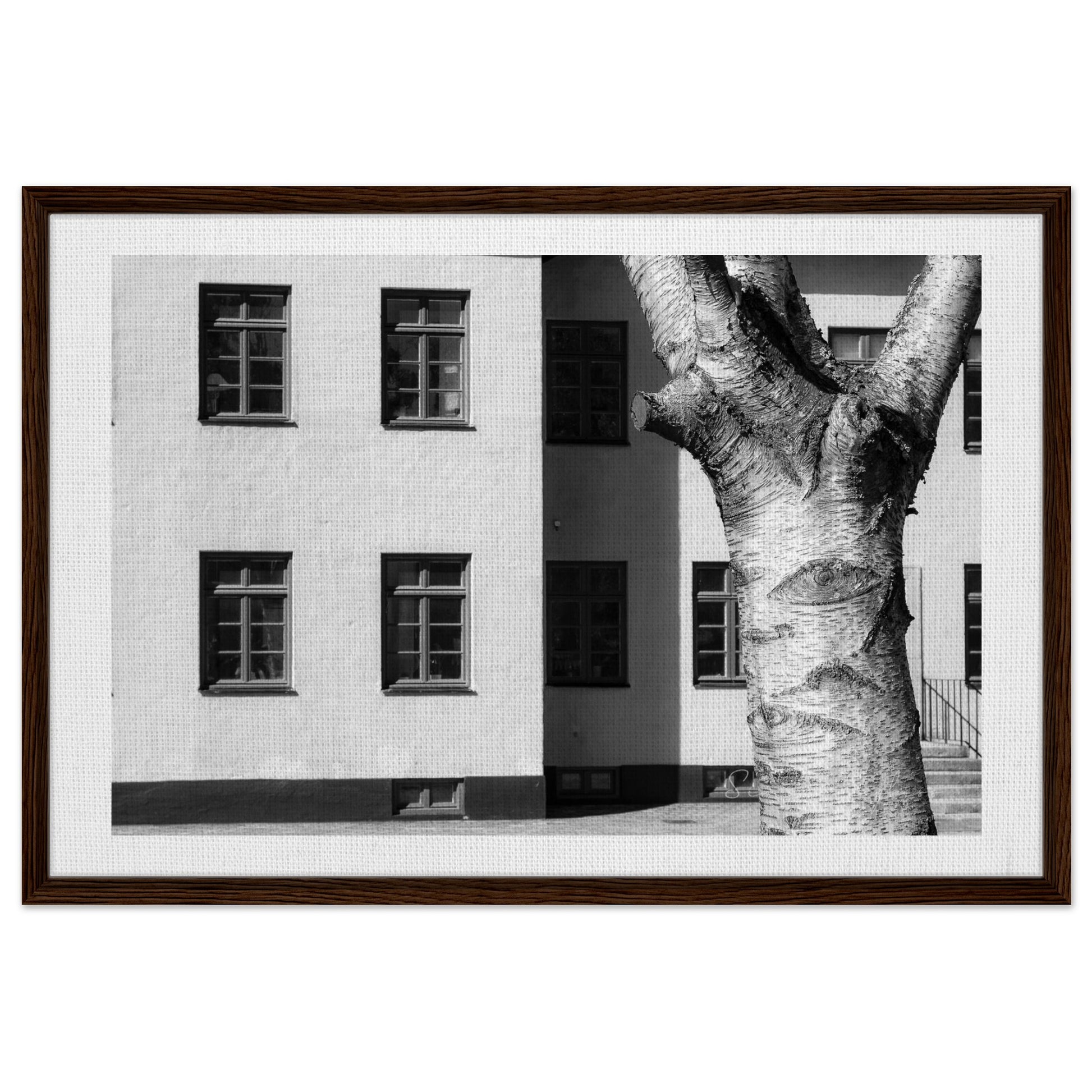 4ad587ee-2ea8-4456-979f-4bd7b844845e