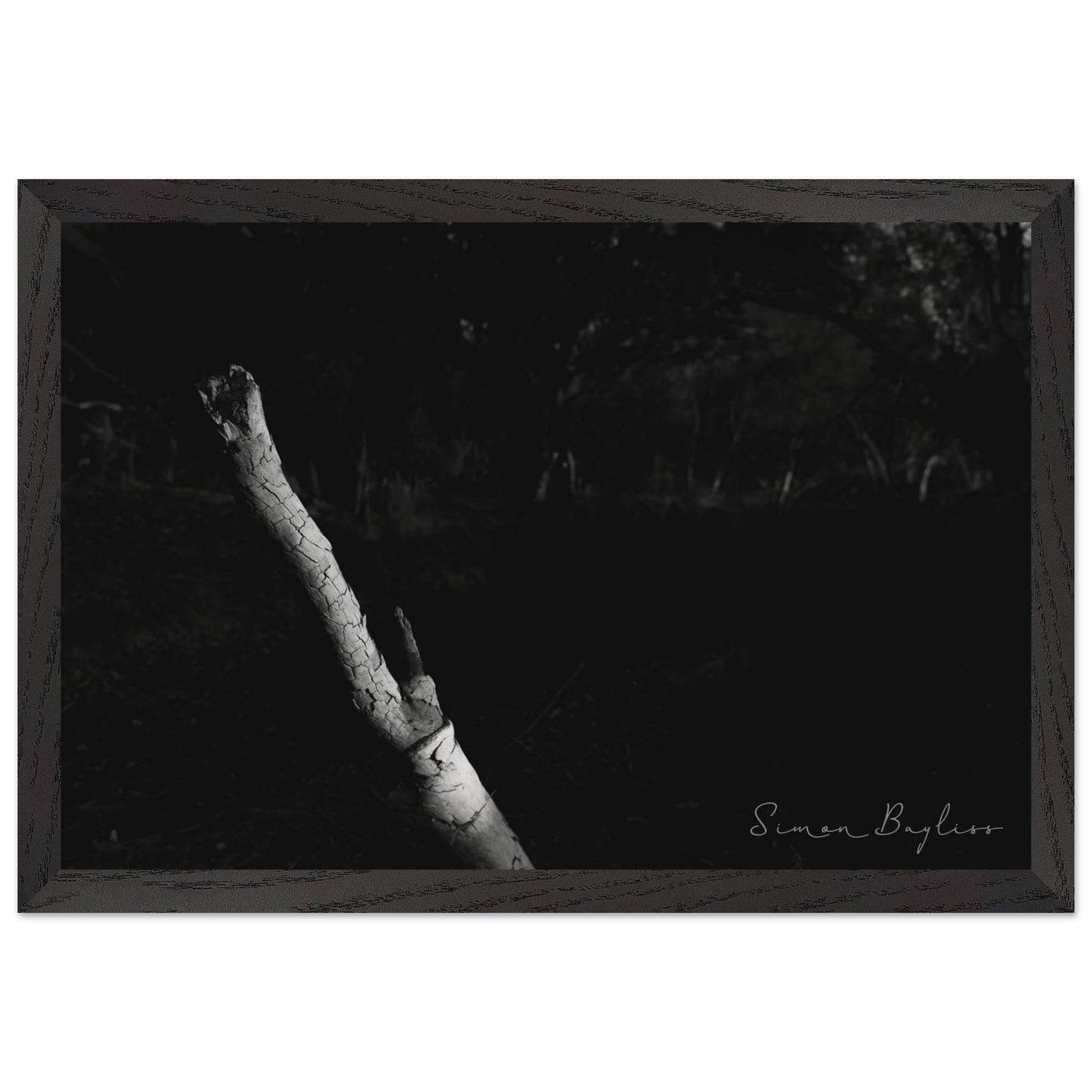 4afd4559-0811-4db0-8aed-a74009f5358e