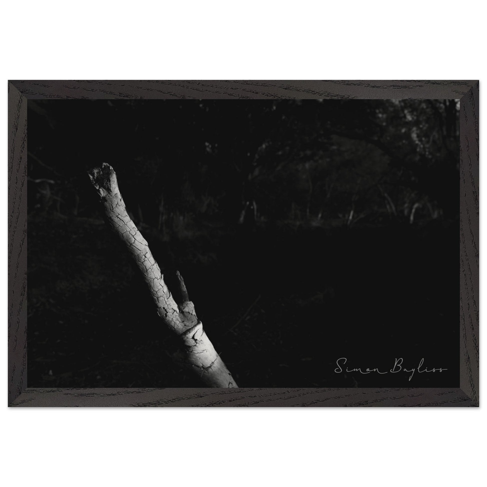 4afd4559-0811-4db0-8aed-a74009f5358e