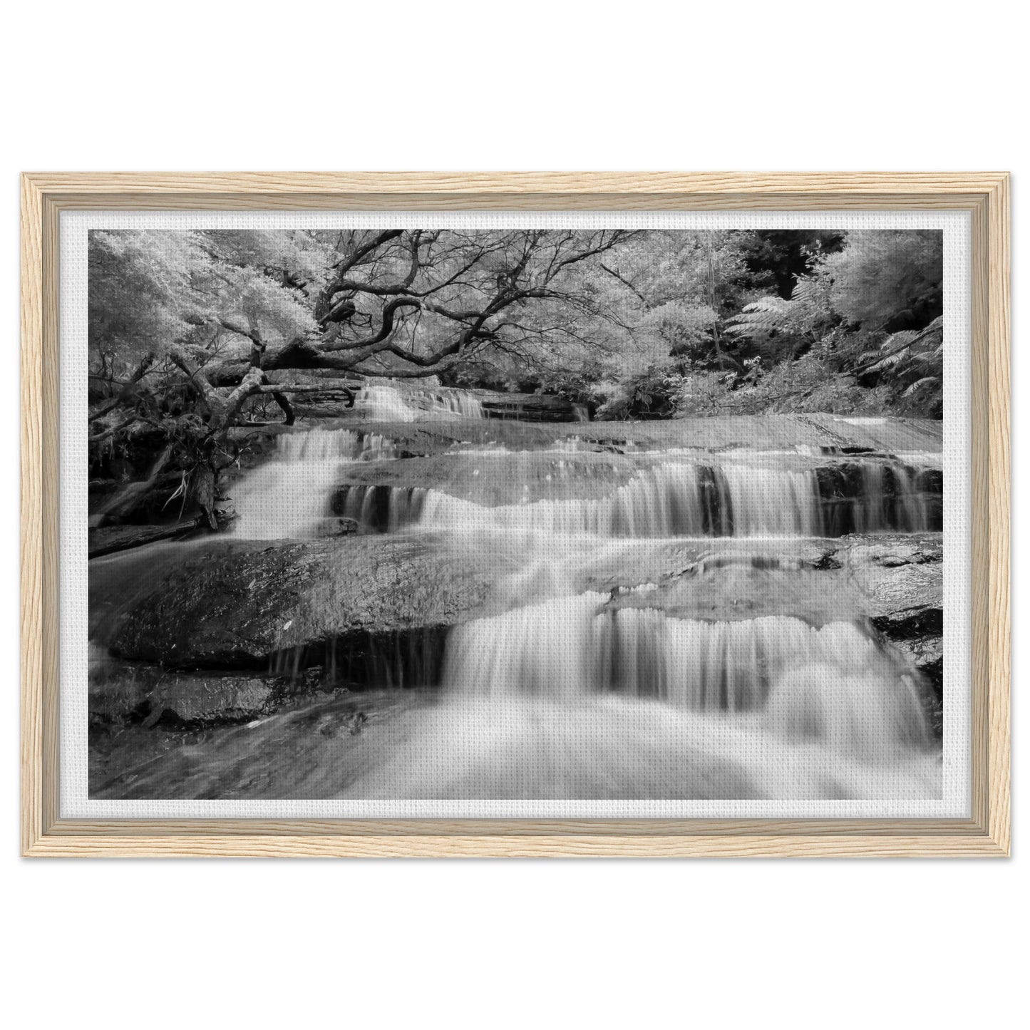 4b164f7e-131c-4548-8cfc-adf97bccbb46