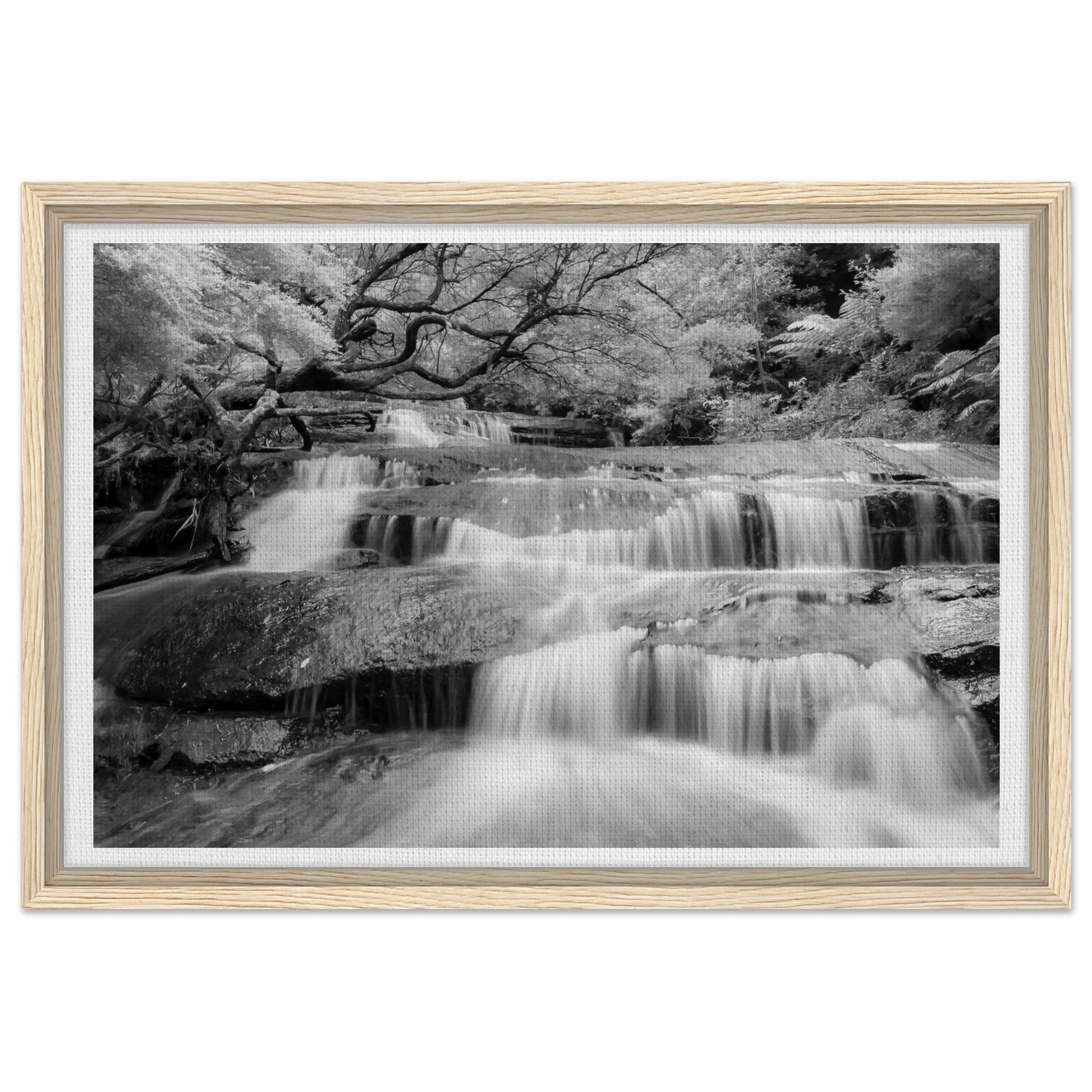 4b164f7e-131c-4548-8cfc-adf97bccbb46