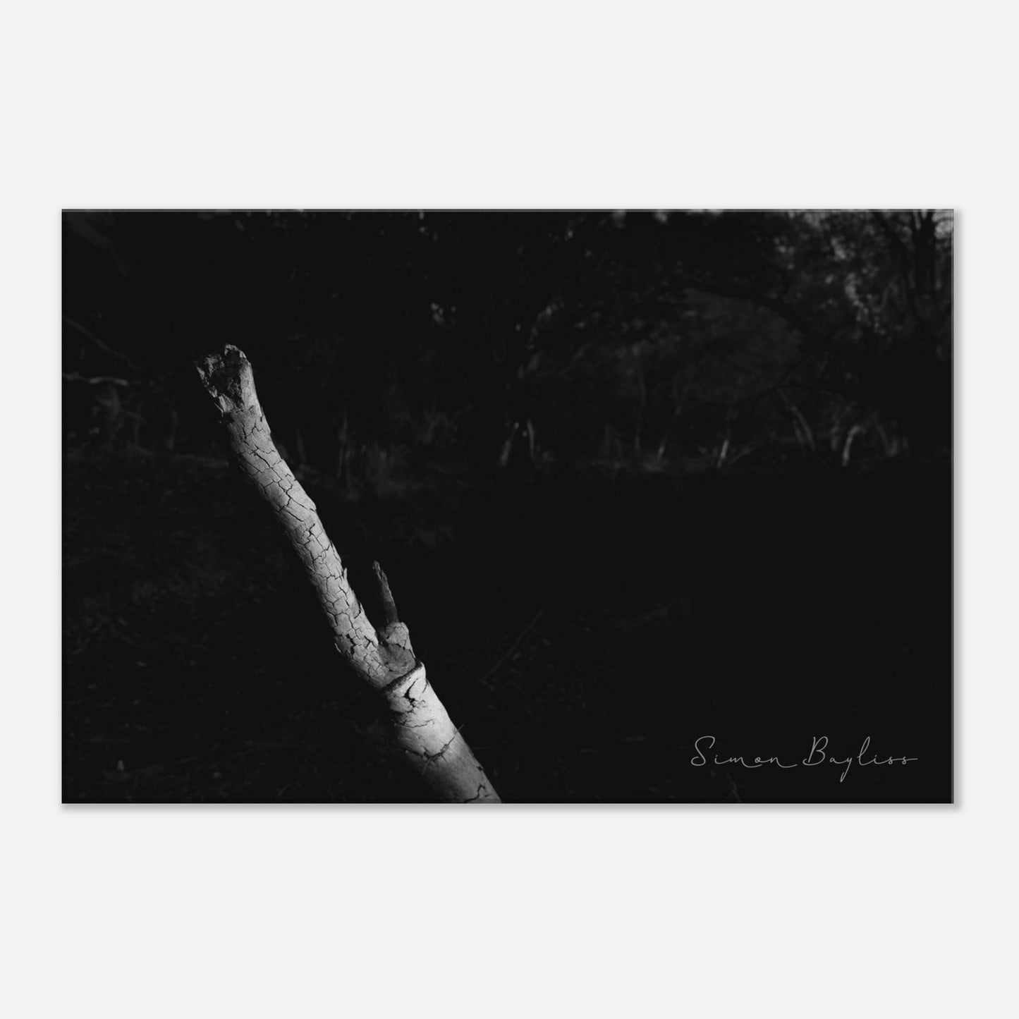 4c240f49-ebf5-4b3b-953a-0e249f20c6c0