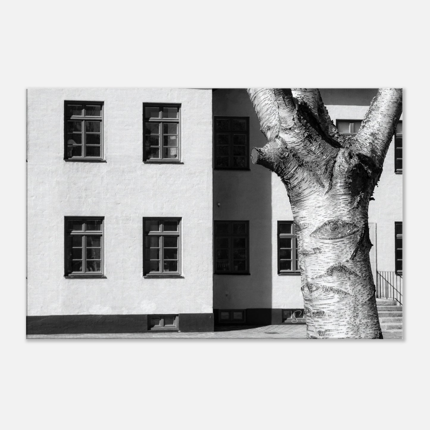 4c53c066-073b-4398-b6b9-1515b084b2c6