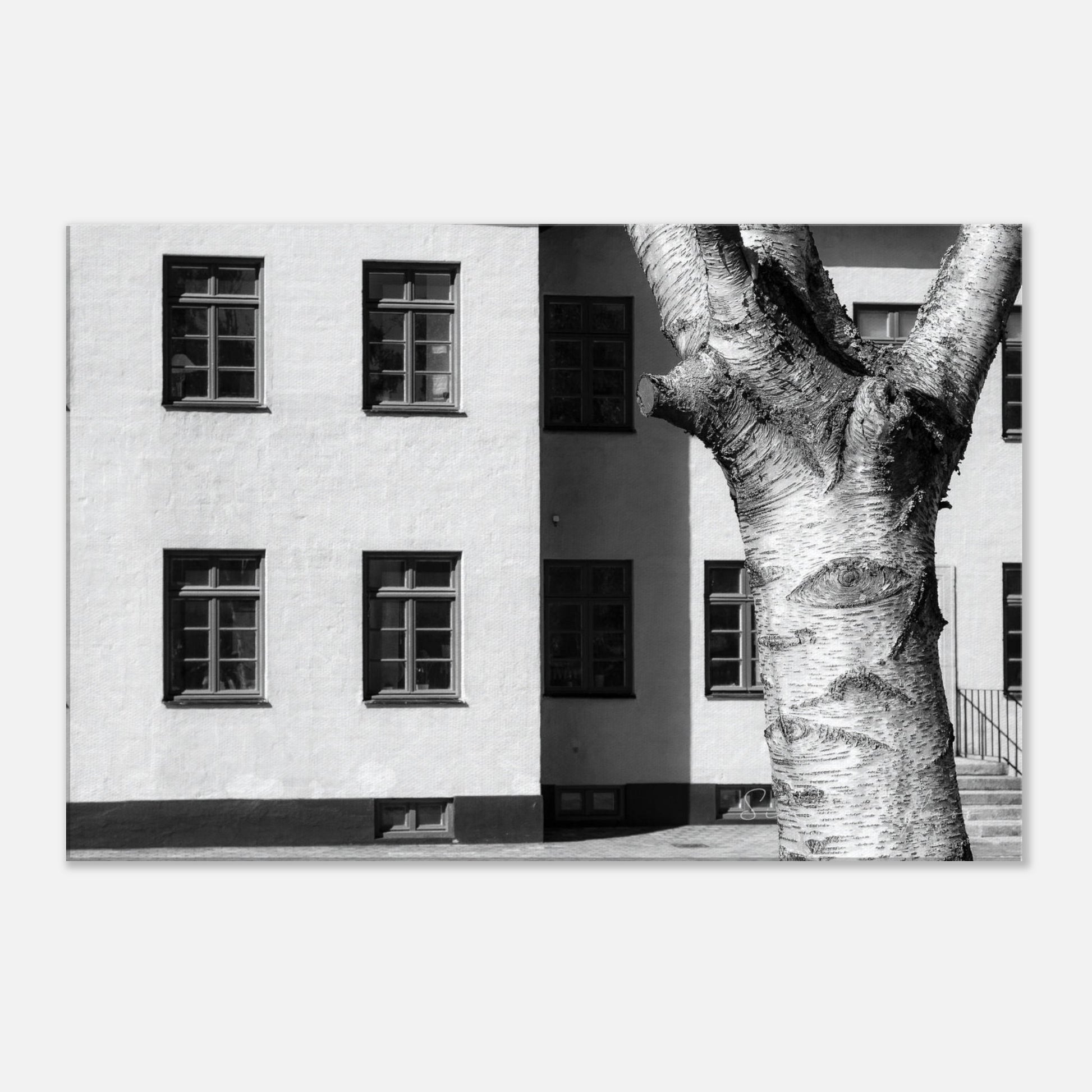 4c53c066-073b-4398-b6b9-1515b084b2c6