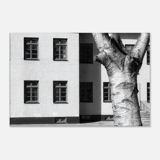 4c53c066-073b-4398-b6b9-1515b084b2c6