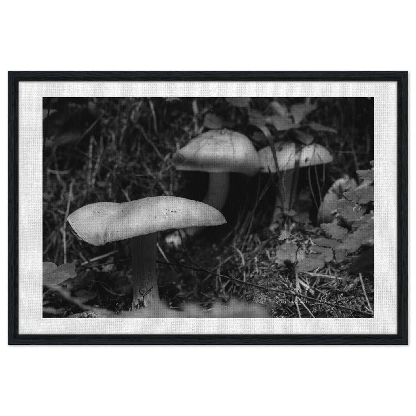 4c62b254-2997-43c5-ba4e-7b81a1e809f4