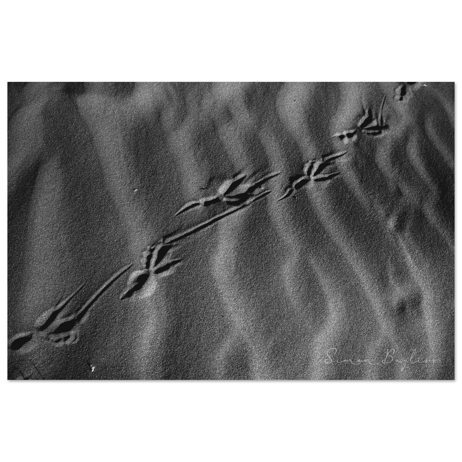 4c7baf04-3e73-4d3f-b9d5-a6e1d4a6af26