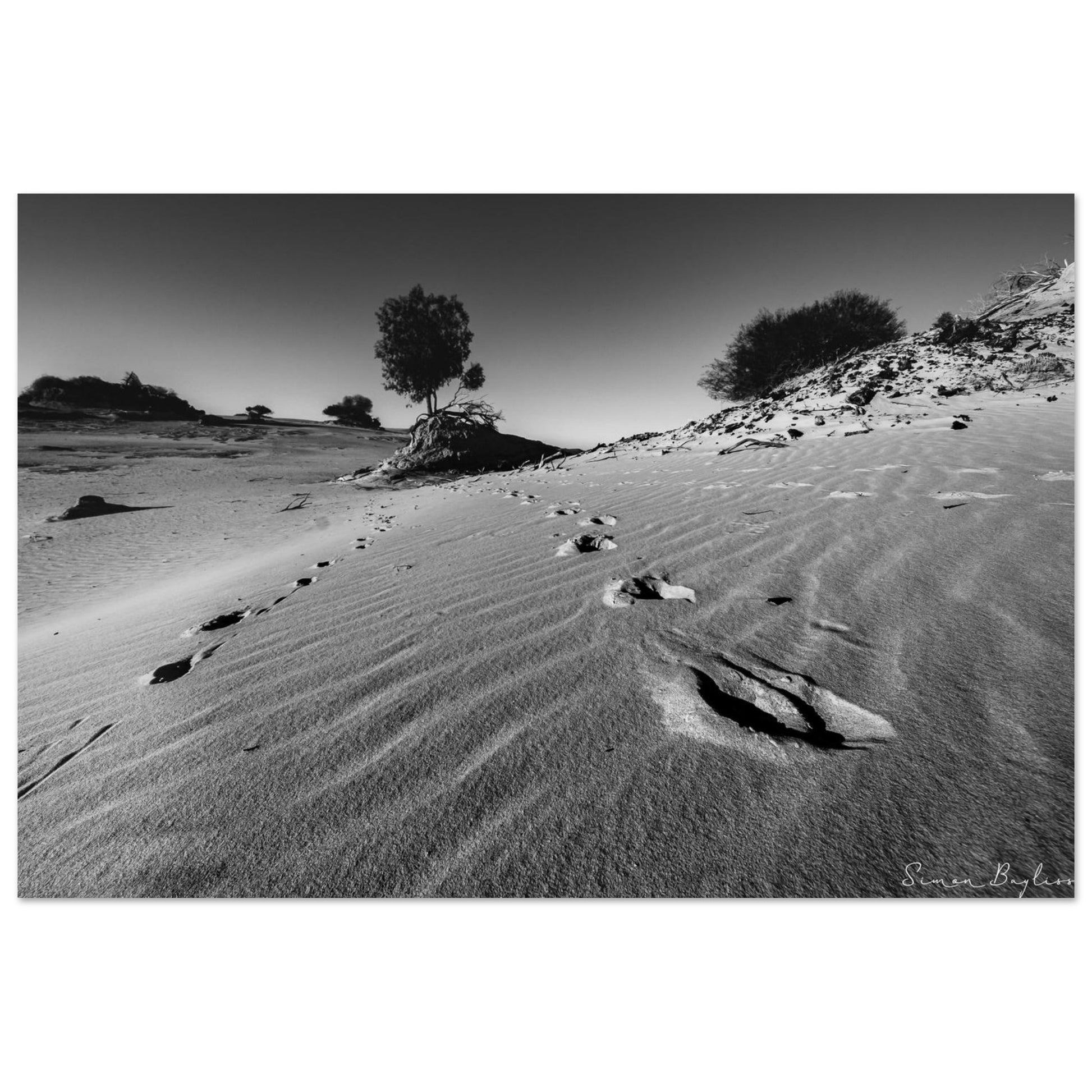 4c87792b-4e46-4b5a-8028-88dff10ed214