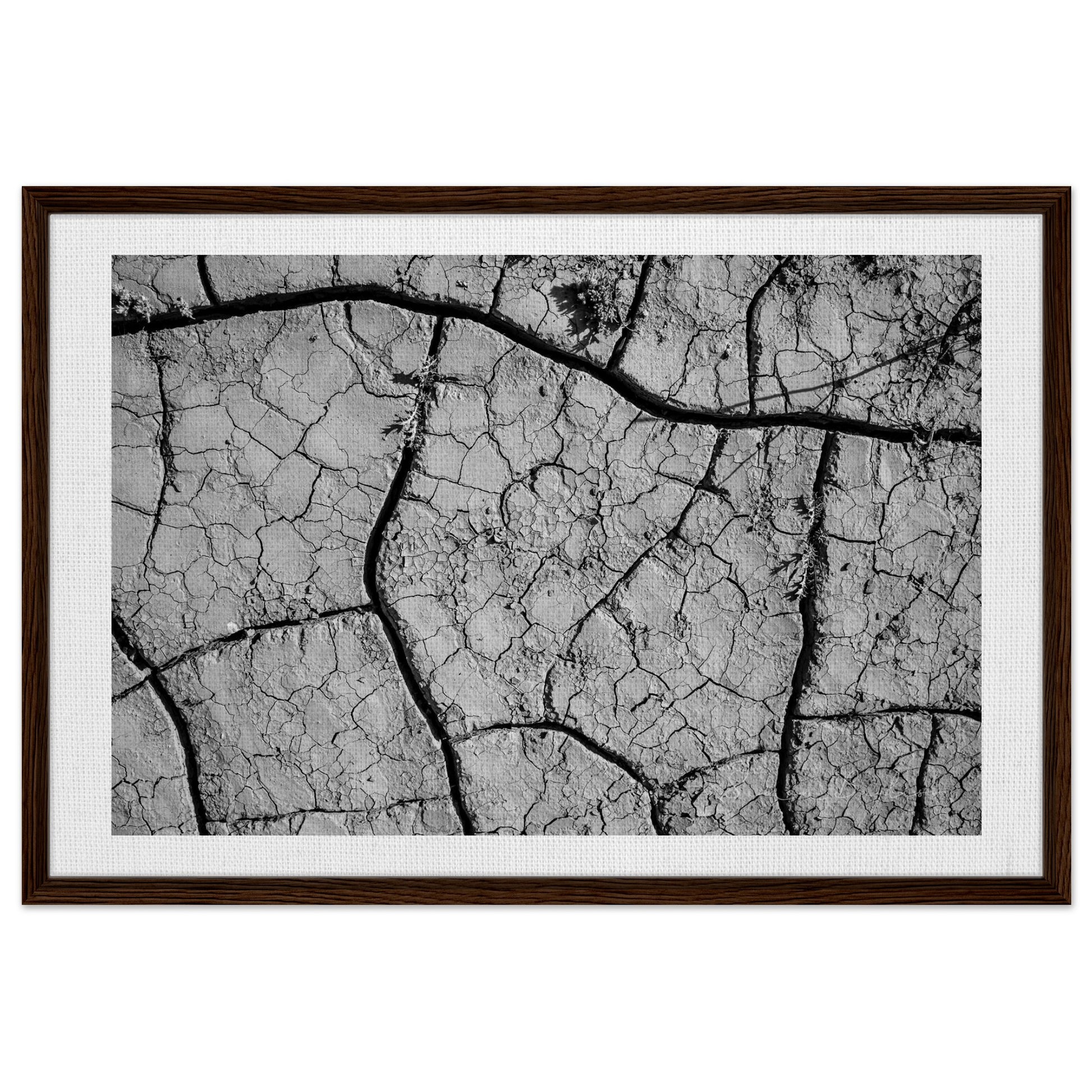 4ca1198f-72cd-4895-8fe4-76f497b2a7e1