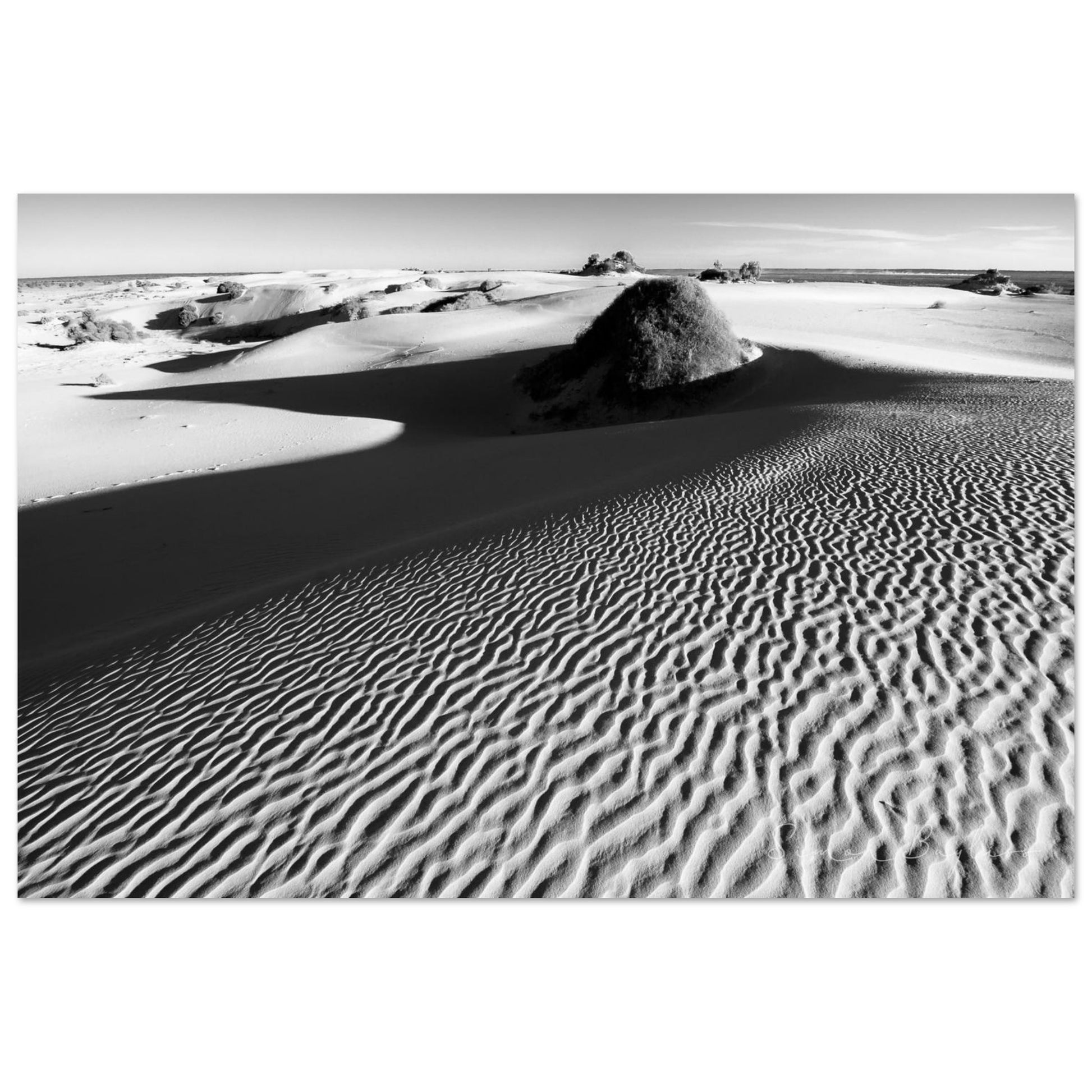 4cc94636-1ef8-4a26-a3ad-141f9dfc522e