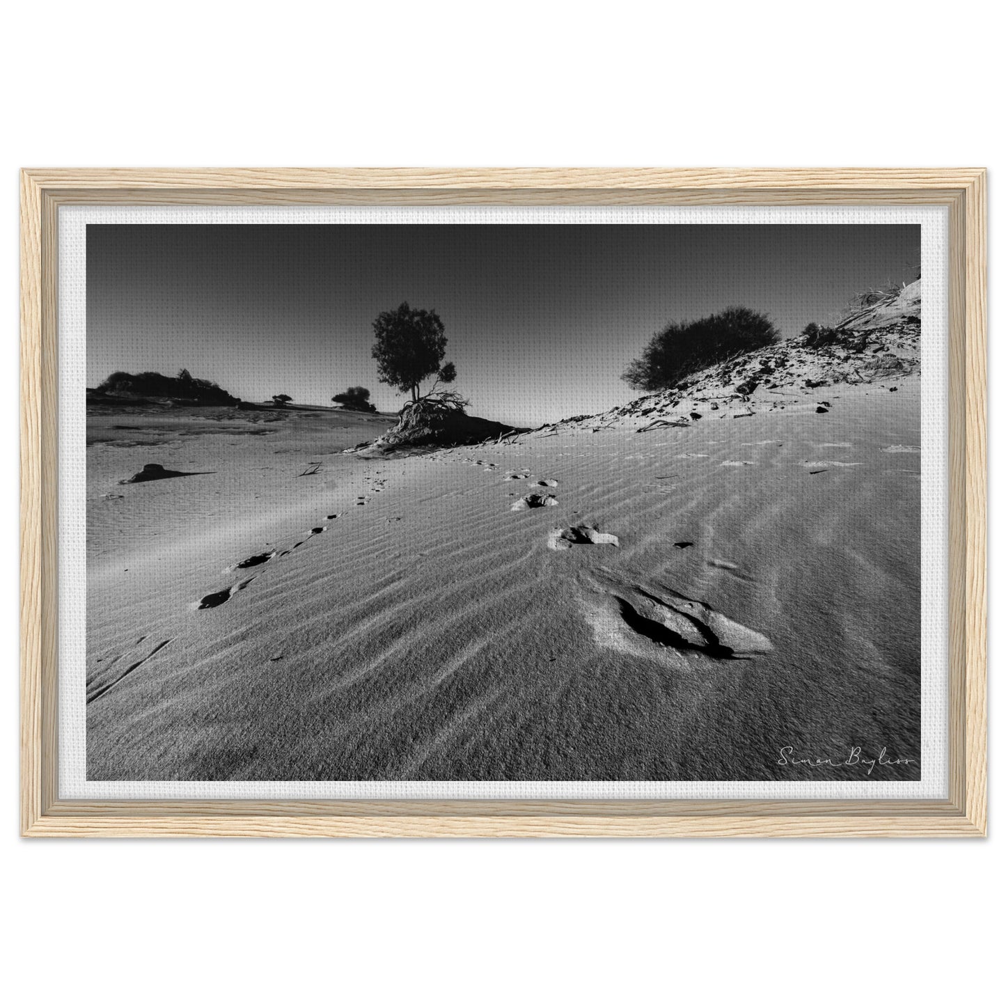 4d2e985a-205b-4408-9734-aae27bb89b81