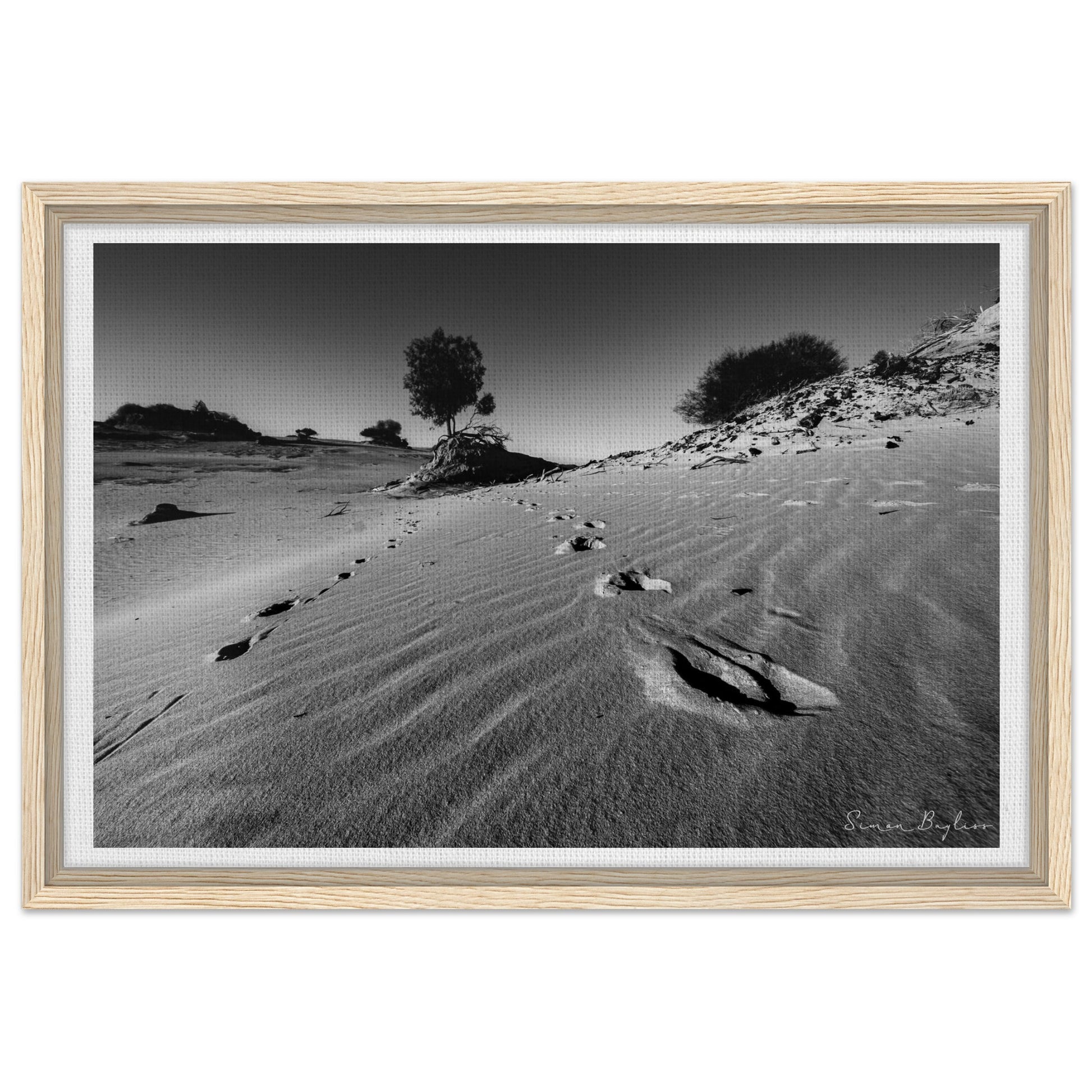 4d2e985a-205b-4408-9734-aae27bb89b81