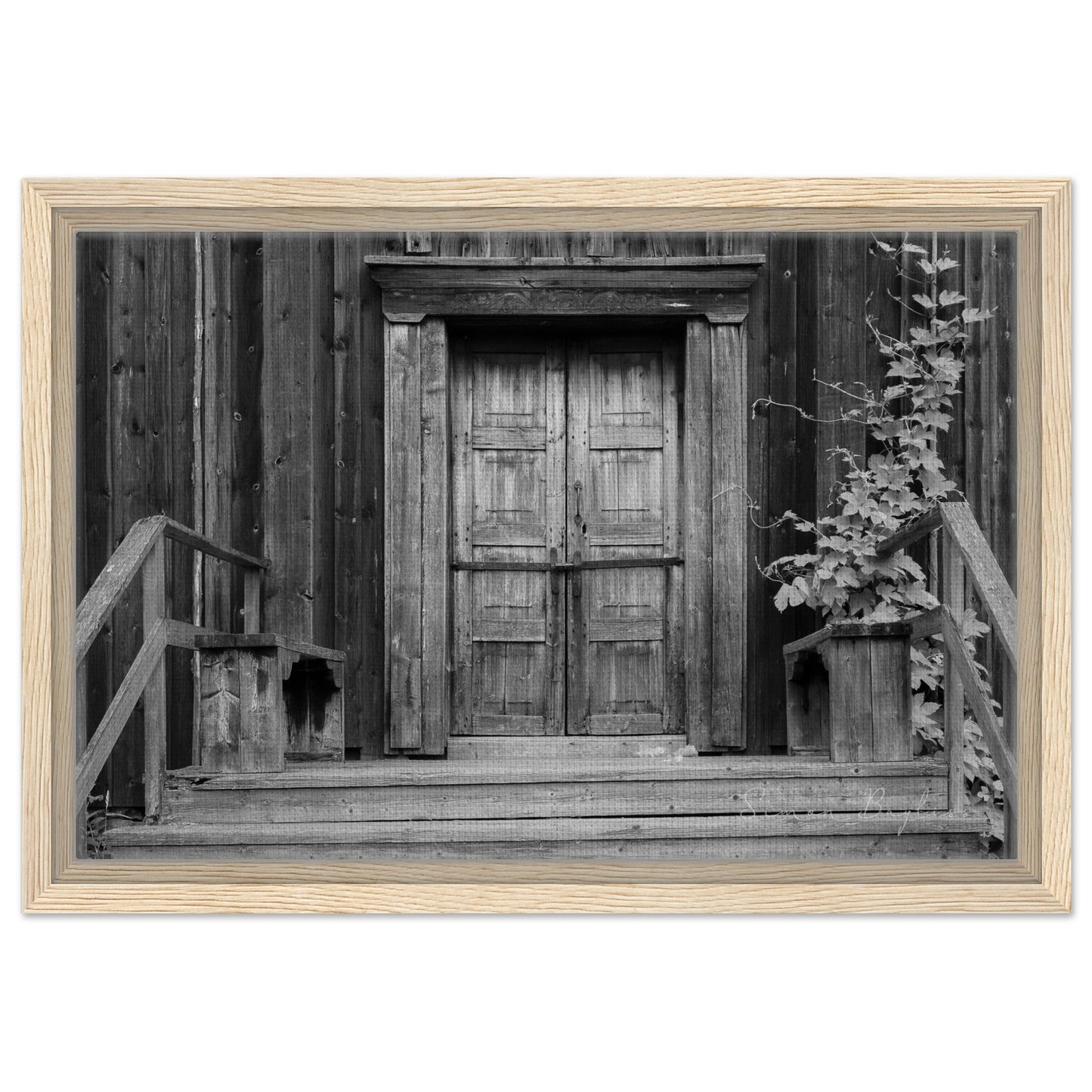 4d50b9aa-0e42-4de3-ad77-a071cf8af5a2