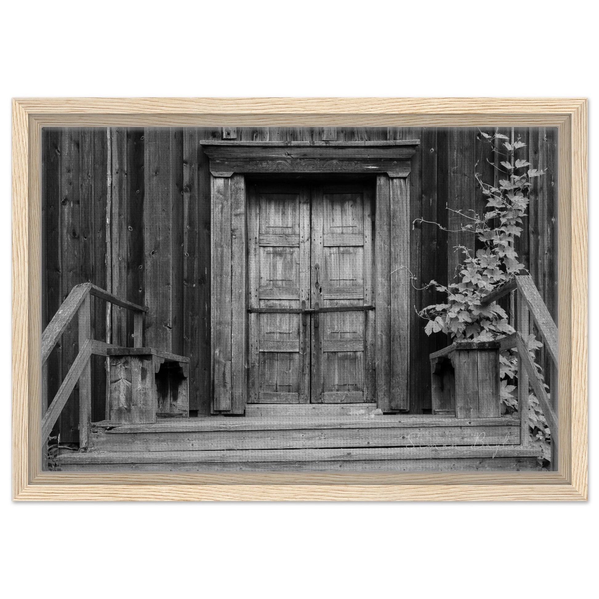 4d50b9aa-0e42-4de3-ad77-a071cf8af5a2