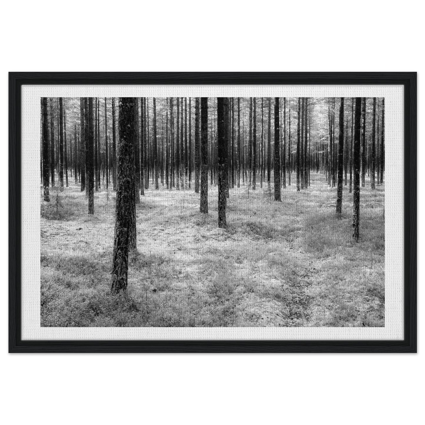 4daeeb61-e11b-4059-9415-ef57949f3f32