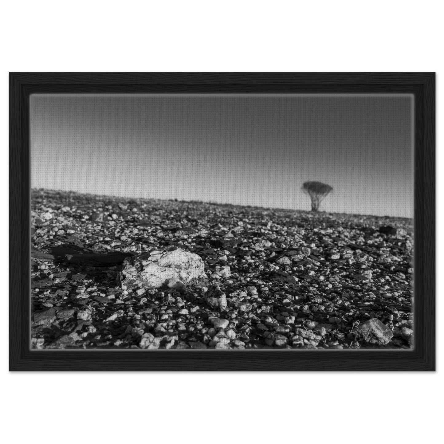 4e778e47-6818-42b6-b31b-104cecf75e42