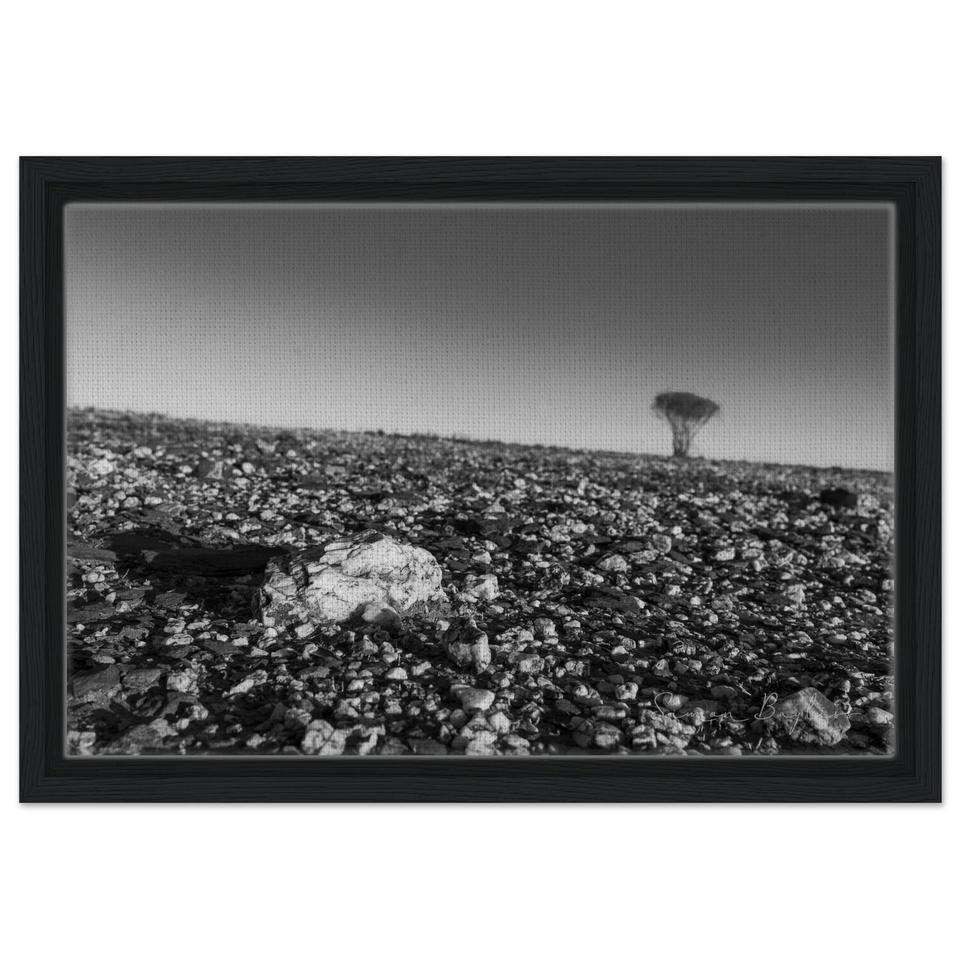 4e778e47-6818-42b6-b31b-104cecf75e42