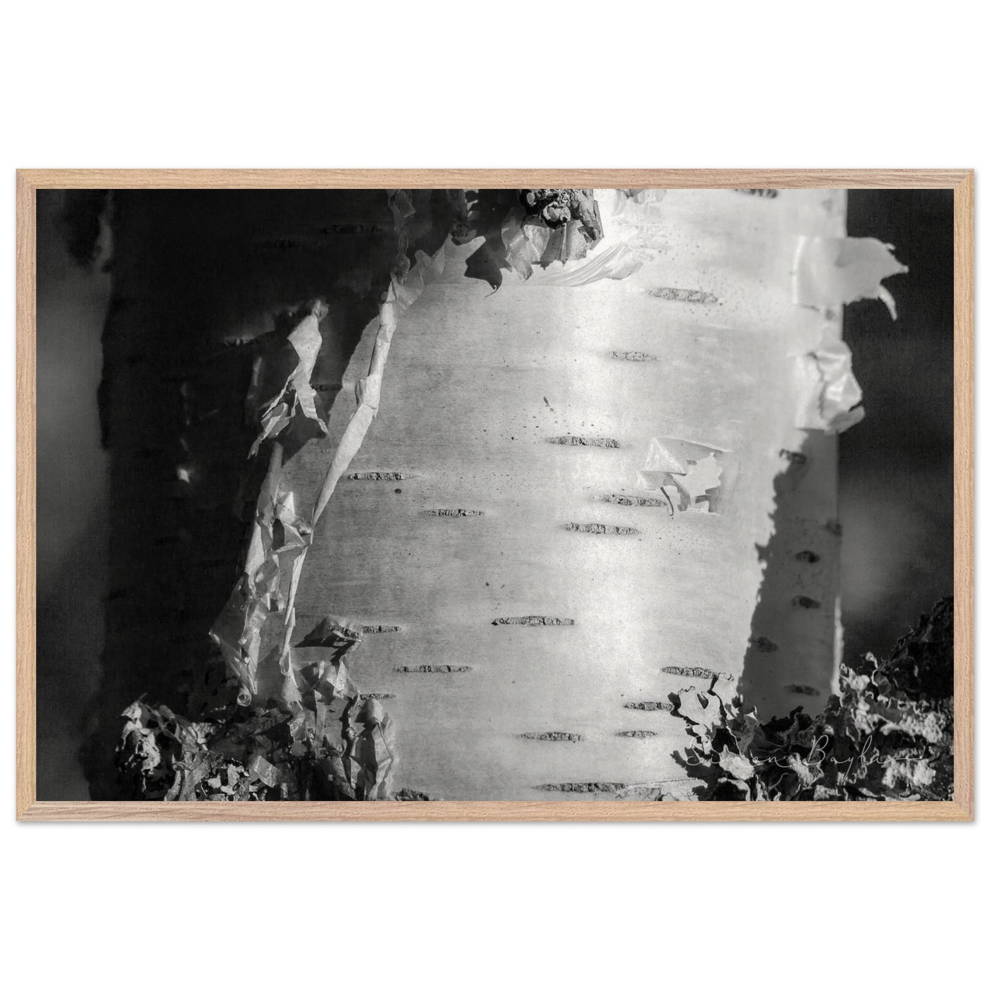 5012f02f-2e91-4807-a91a-8d3b73e5706f