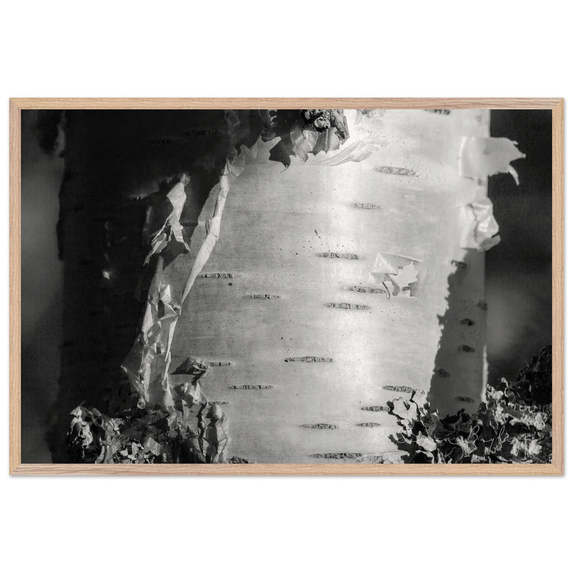 5012f02f-2e91-4807-a91a-8d3b73e5706f