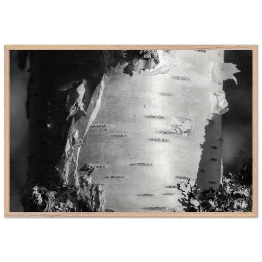 5012f02f-2e91-4807-a91a-8d3b73e5706f