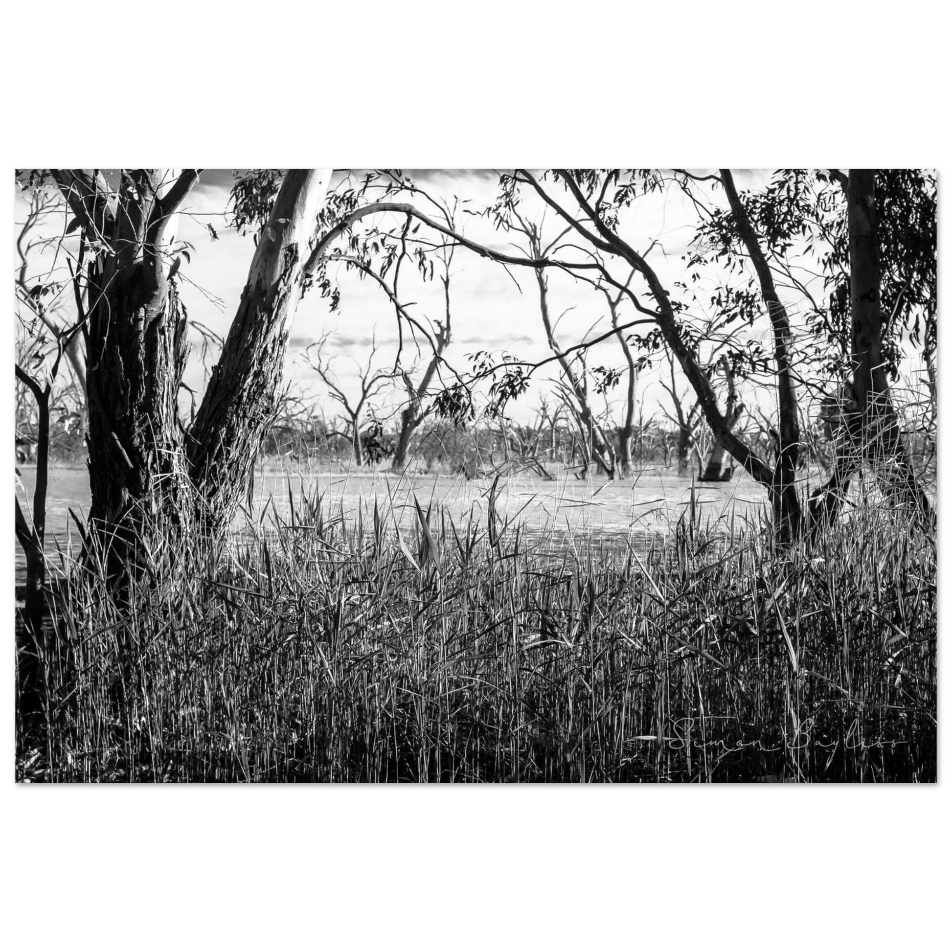 50bd978c-9cb1-4974-bc9b-6d6ab0c3ec8f