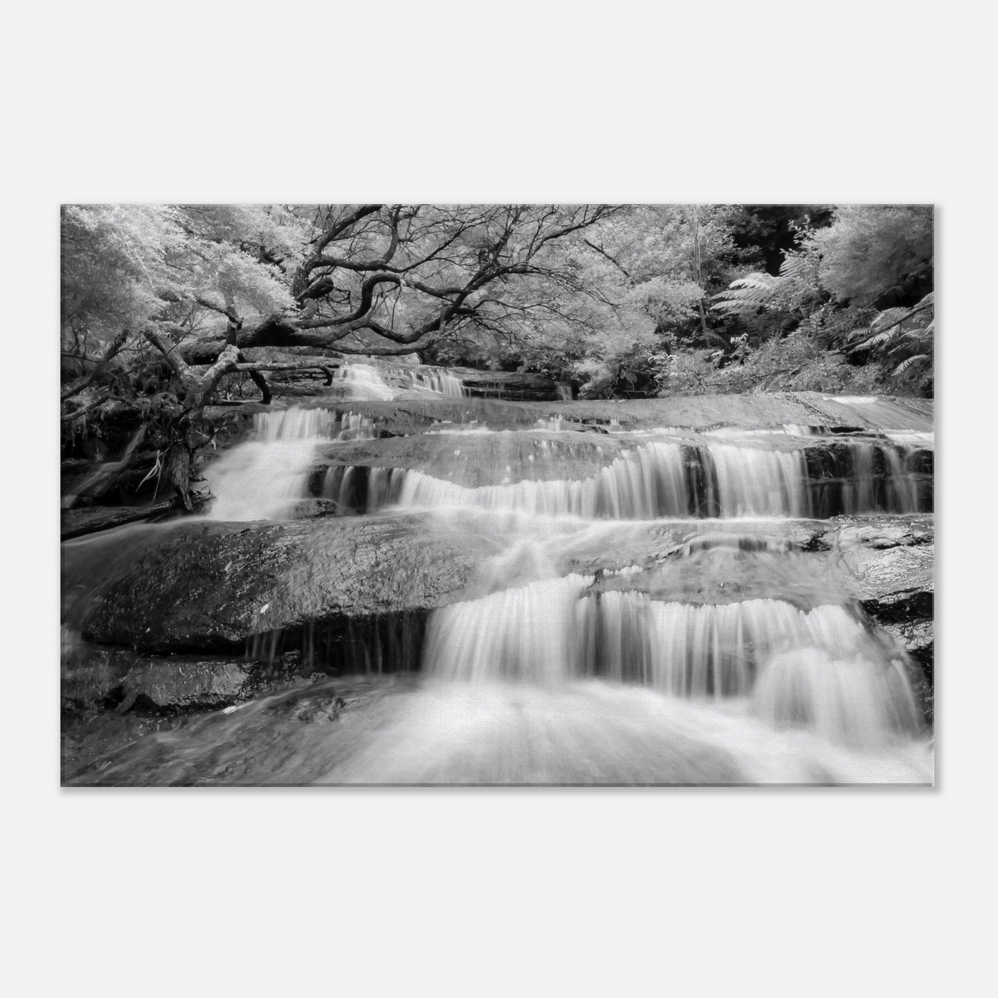 516e1447-2eae-405c-be70-8cb11709413e