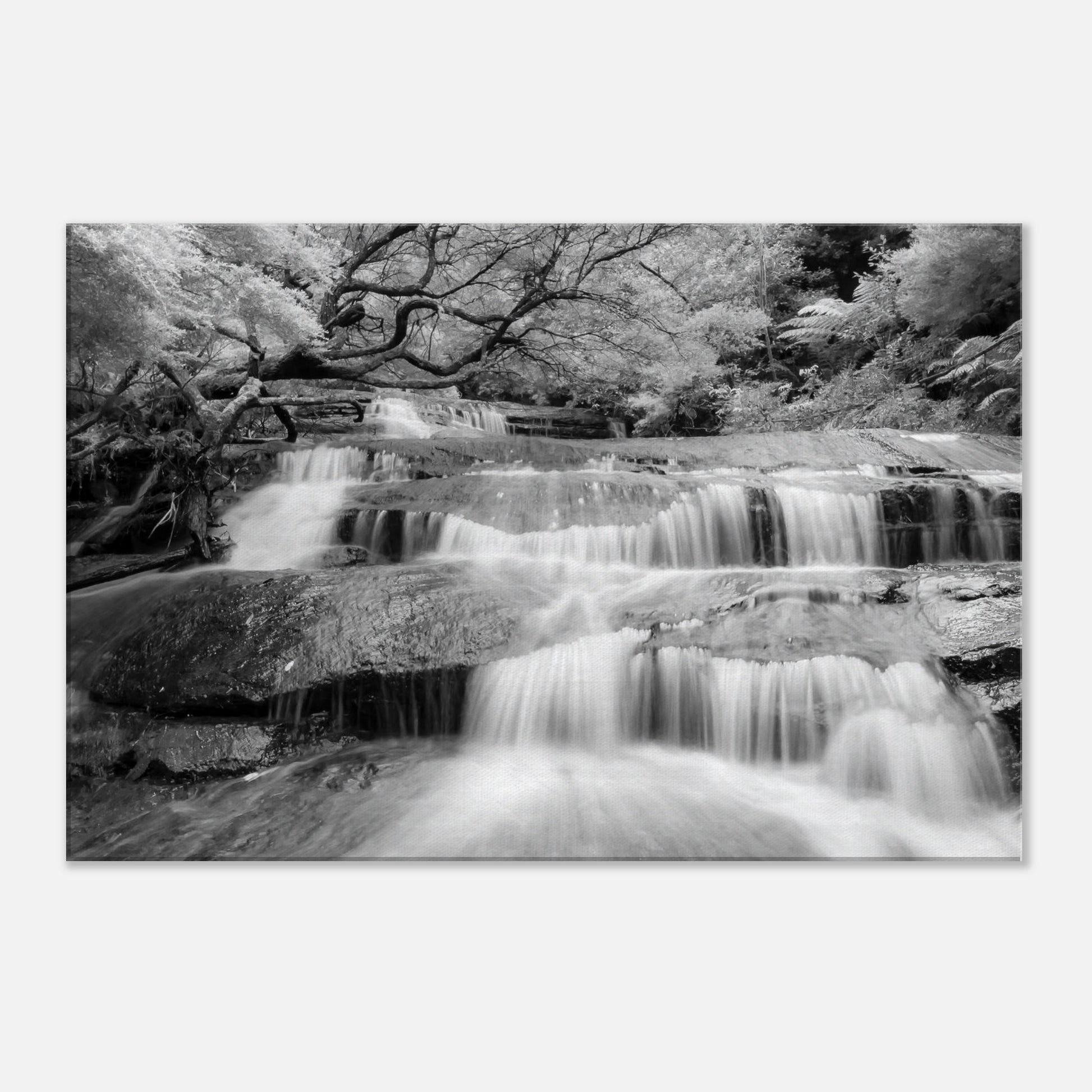 516e1447-2eae-405c-be70-8cb11709413e