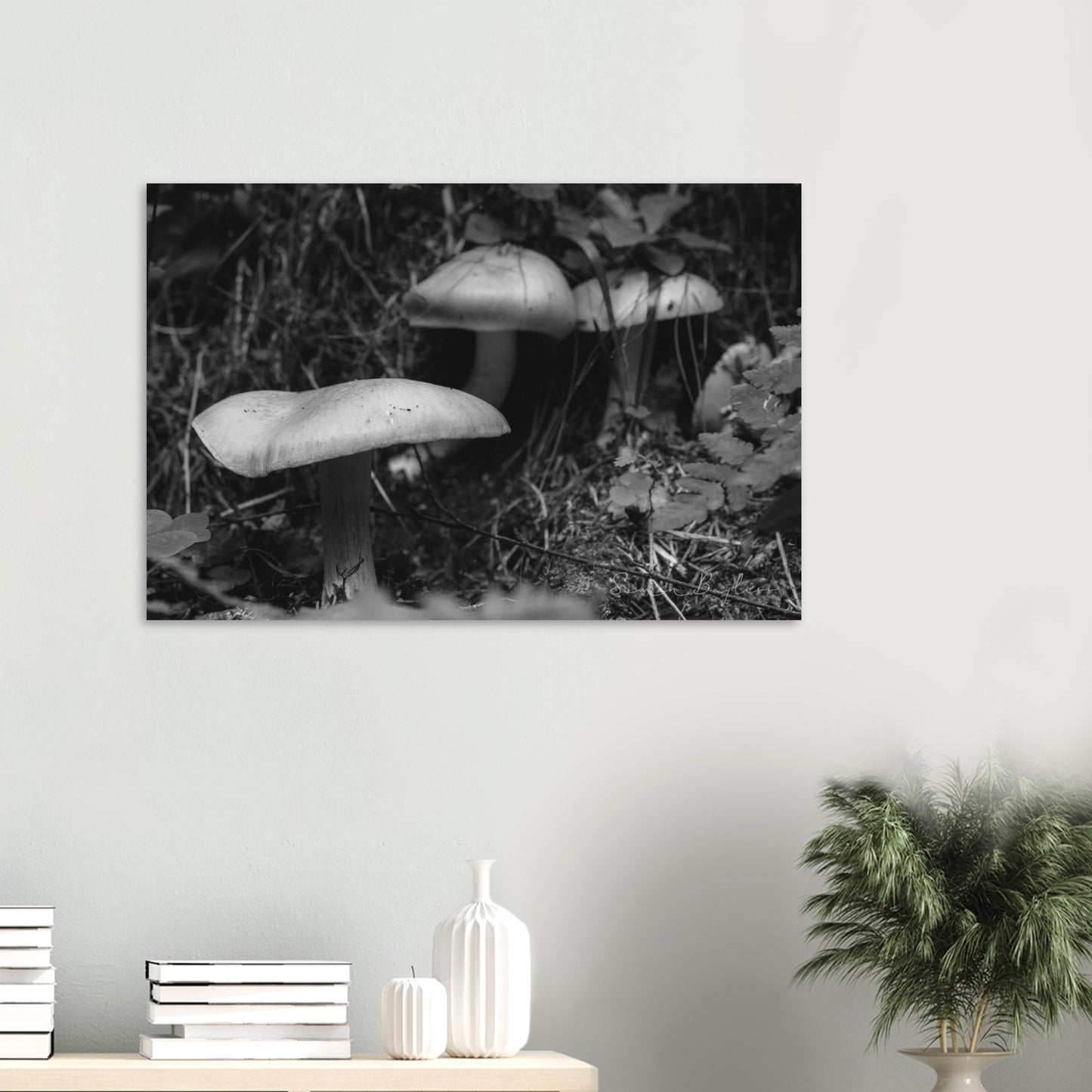 51ec73b3-a6c1-4eaf-be1b-b45625b11a2f