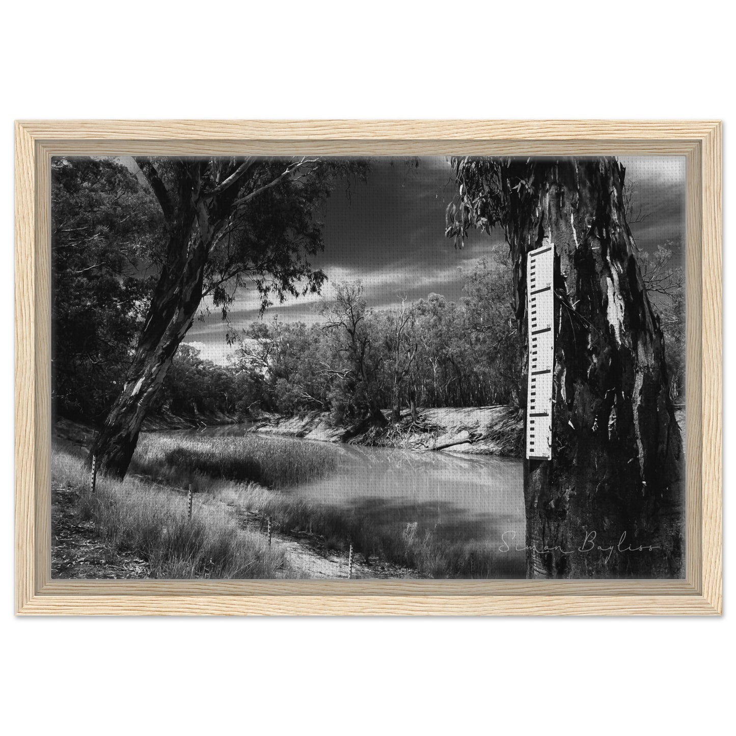 528c507d-7c16-4219-961f-78166518e0bd