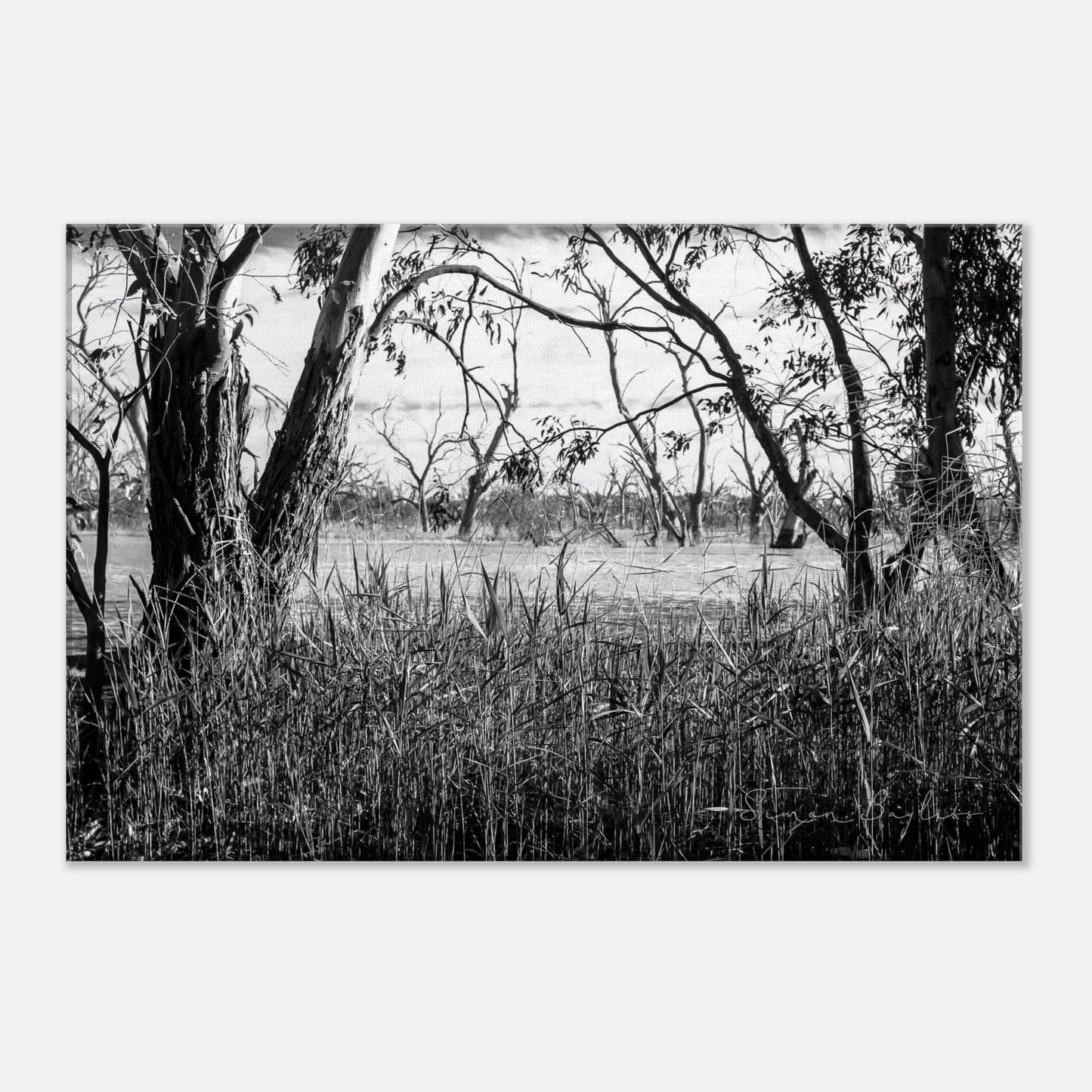 545956c0-85a1-43ea-b98b-c936c4011051