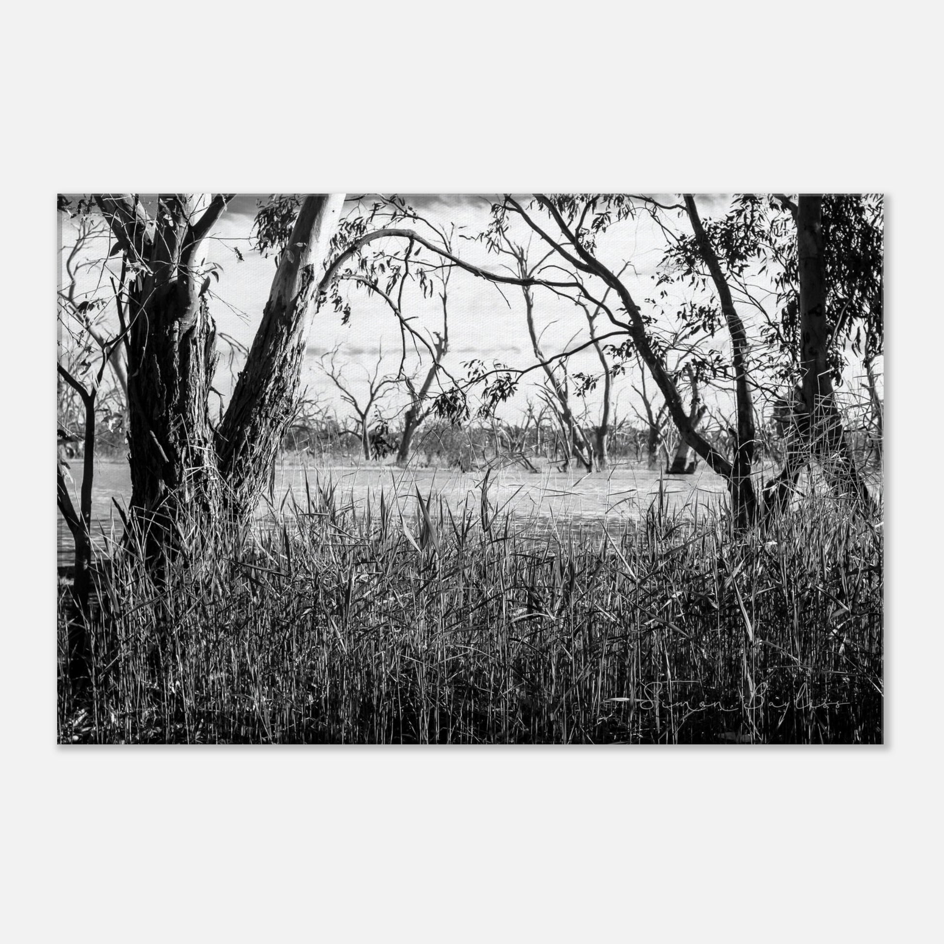 545956c0-85a1-43ea-b98b-c936c4011051