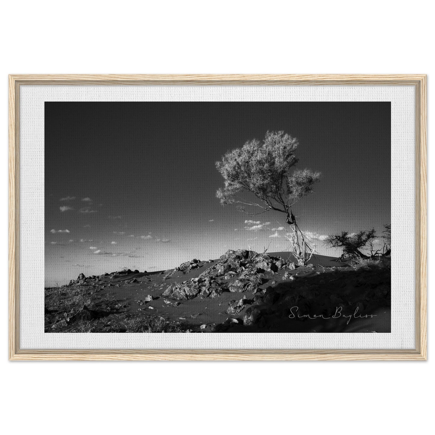 5490f1c2-22cc-4a2f-90d1-5db90cdee6ec