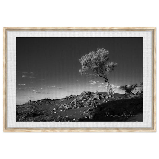 5490f1c2-22cc-4a2f-90d1-5db90cdee6ec