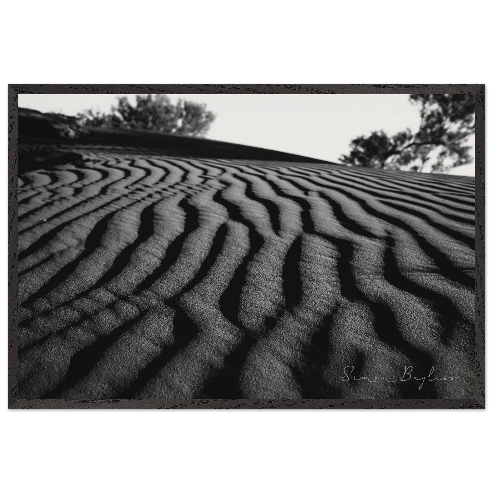 55068f81-1272-40f2-a01e-c93aa992ec50