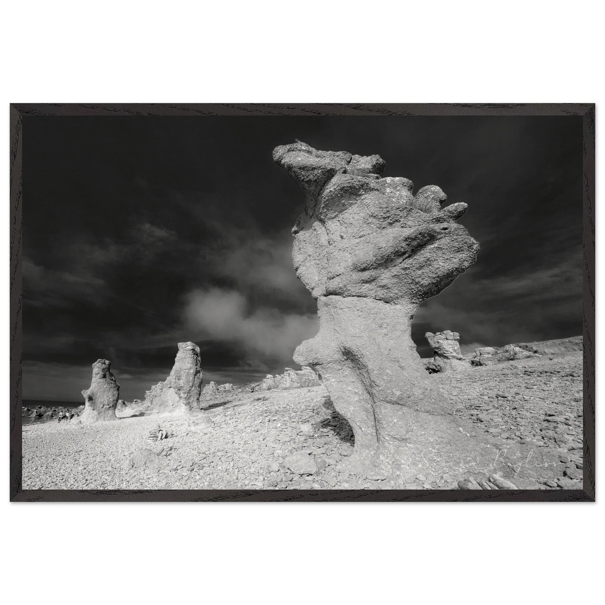 554fb0fb-695d-424a-a901-5aba3101a7f4